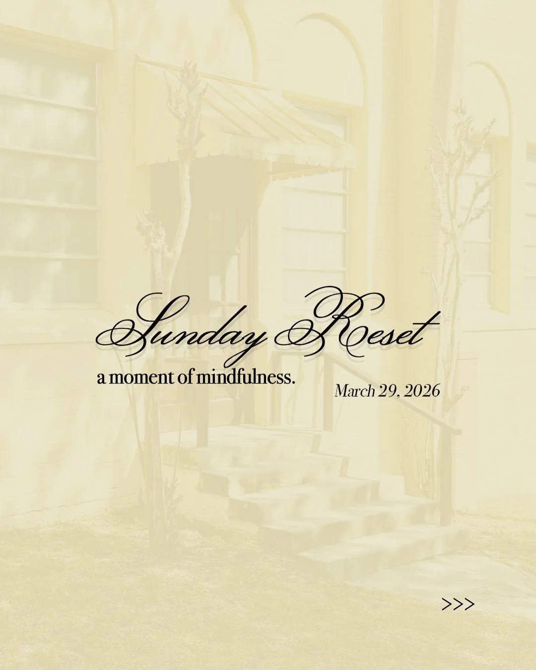 sunday reset: march 29