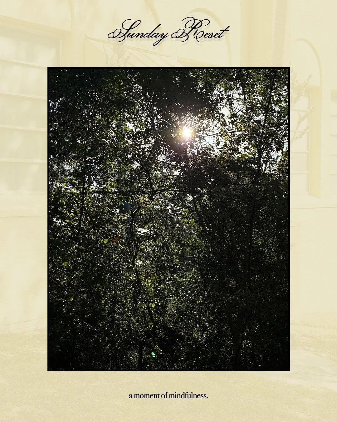 sunday reset: april 12th