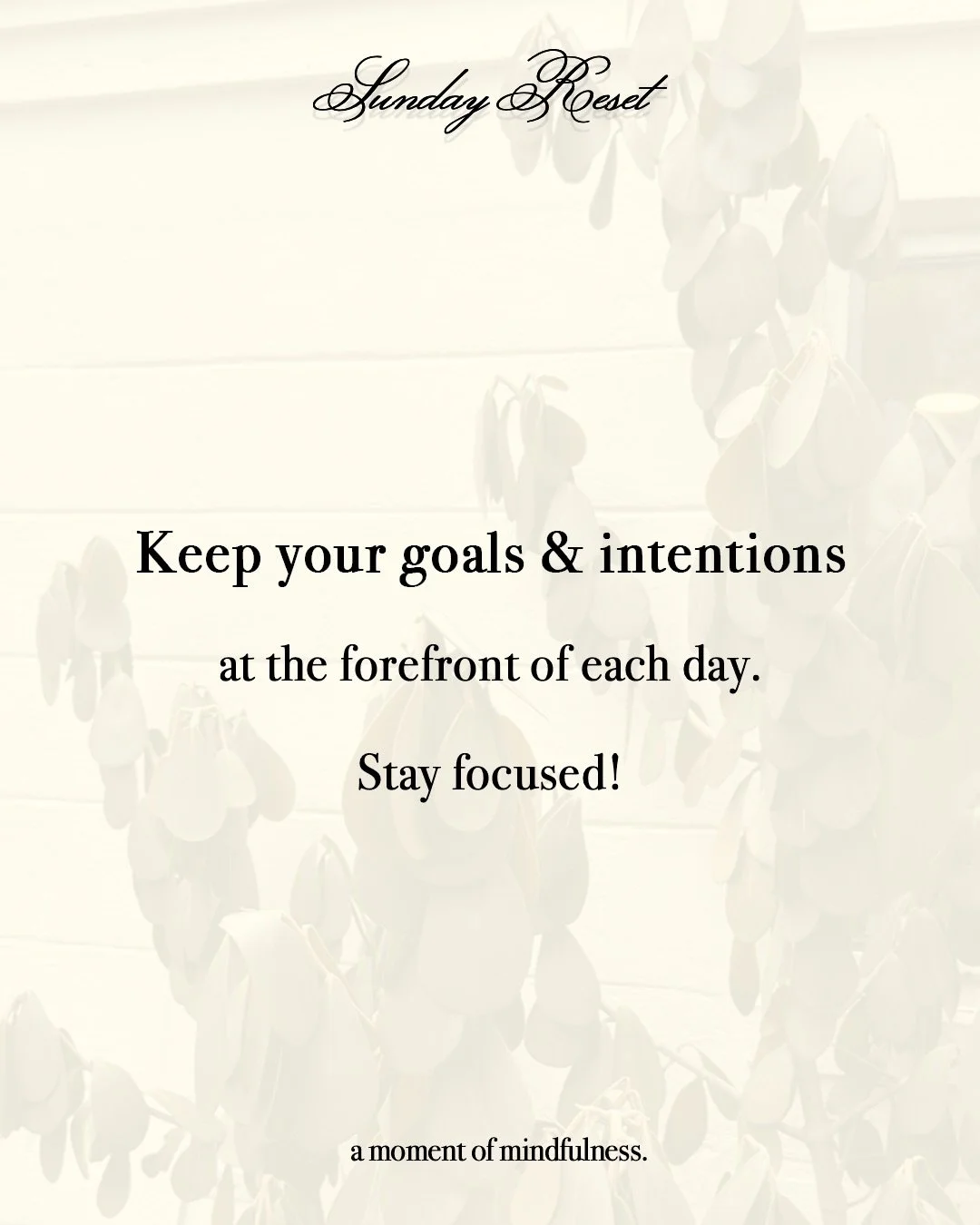 sunday reset: may 3rd