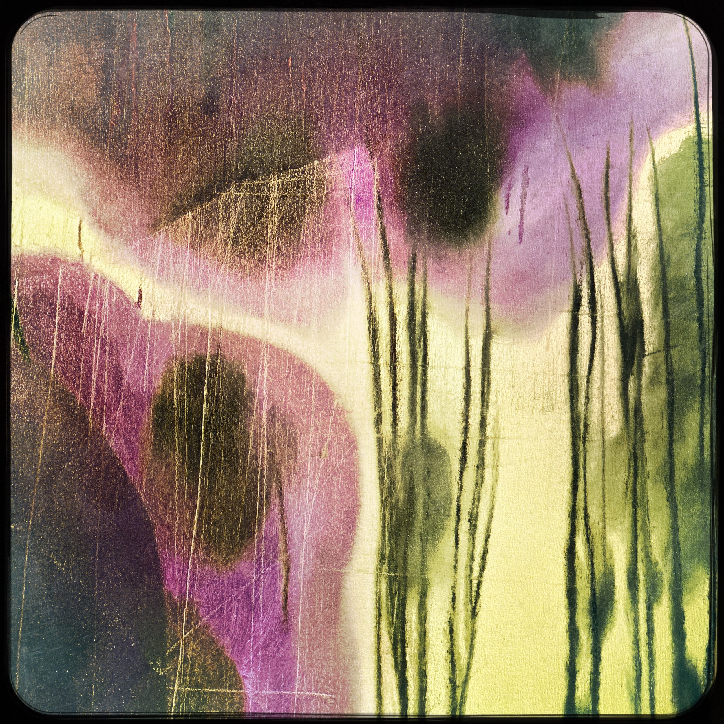 HipstamaticPhoto-735945369.129404.jpeg