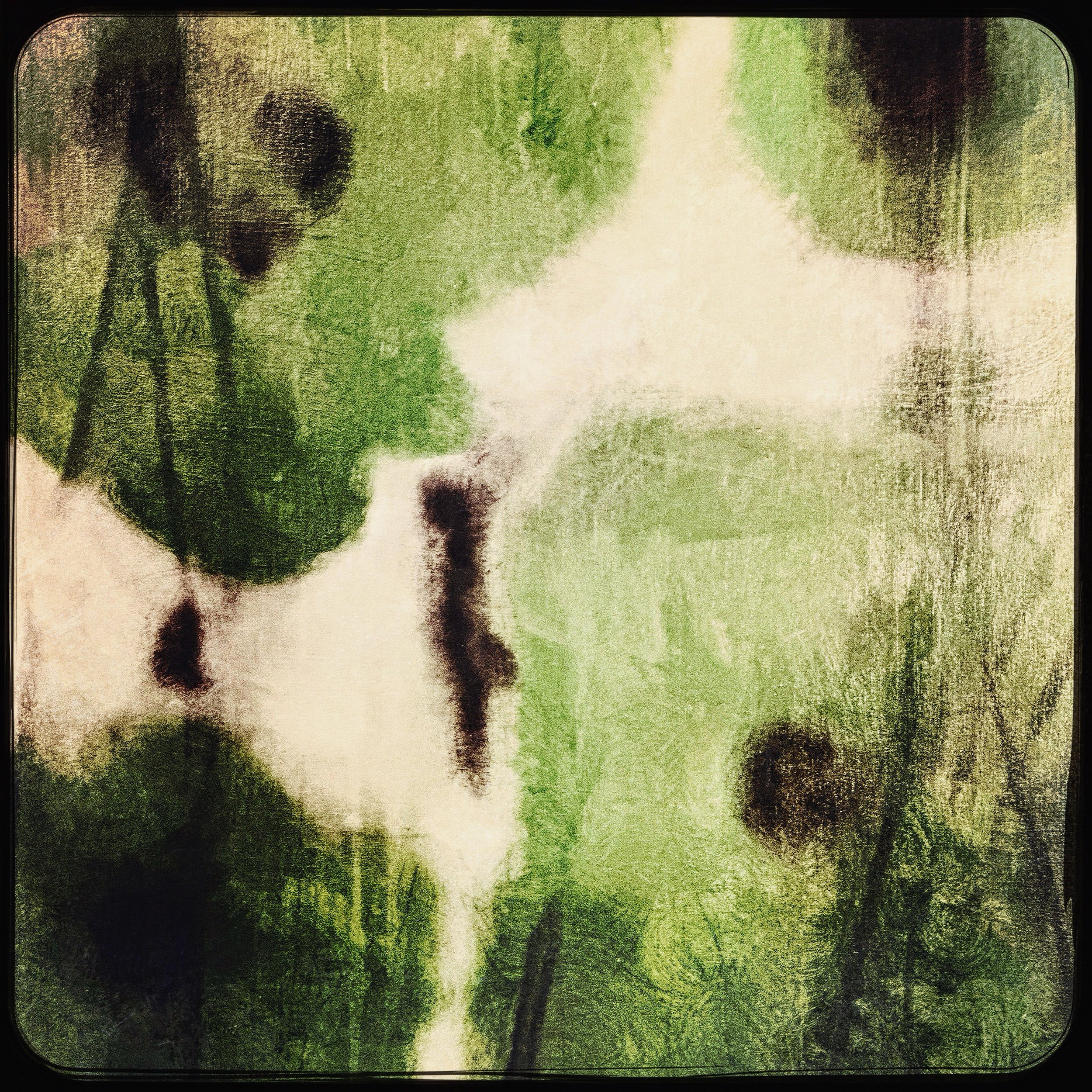 D7E259D4-4BB7-4C2E-8E61-CBBCA3A2ABF4.jpeg