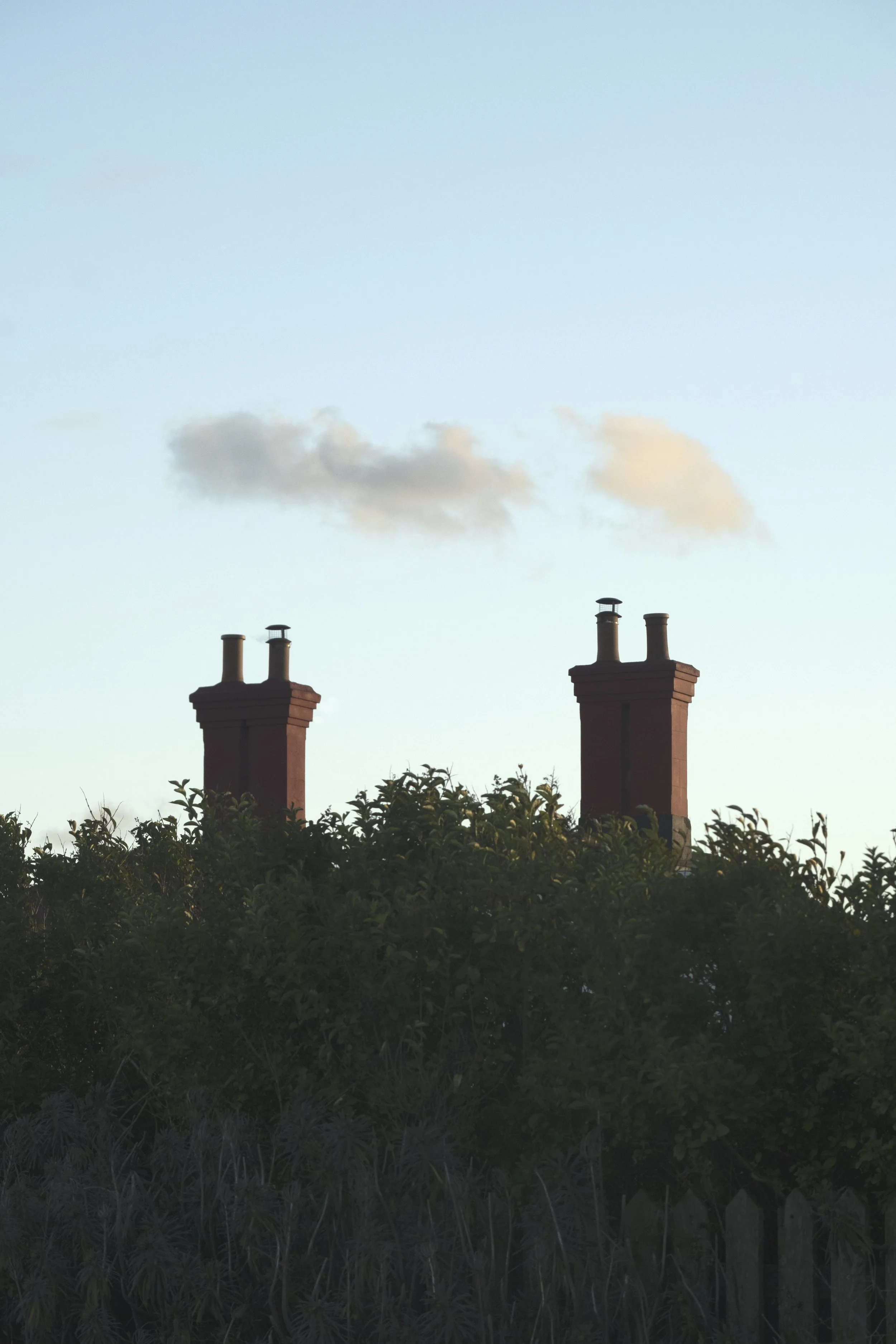 _DSF3484-1.jpg