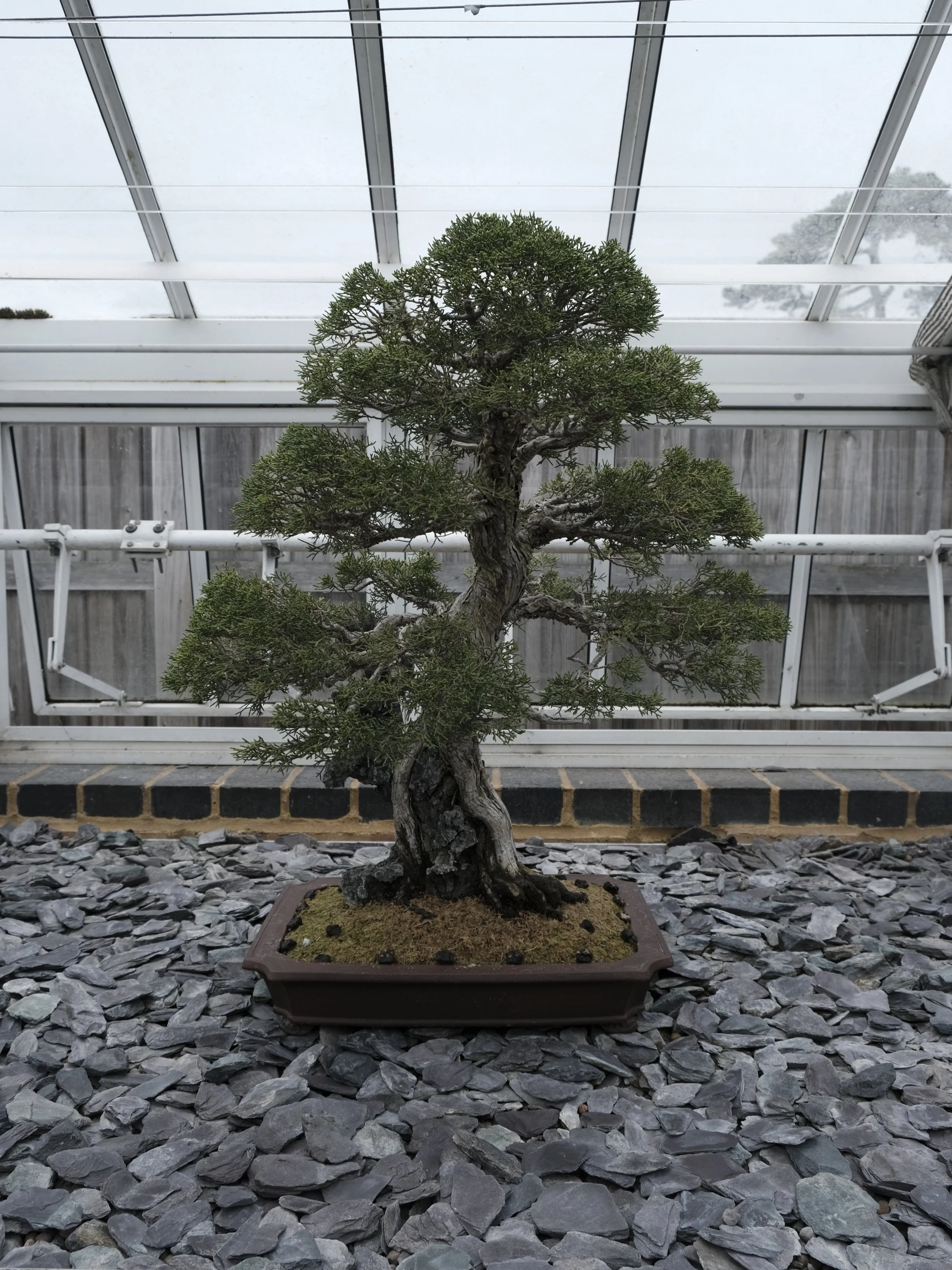 _DSF0894.jpg