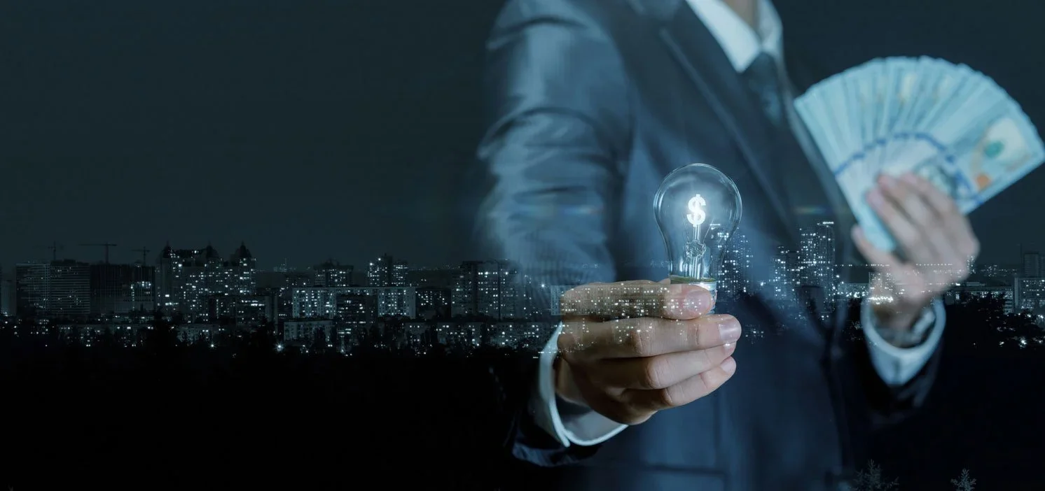 Regulated Monopoly vs. Competitive Provider: Which Delivers Better Electricity Service?