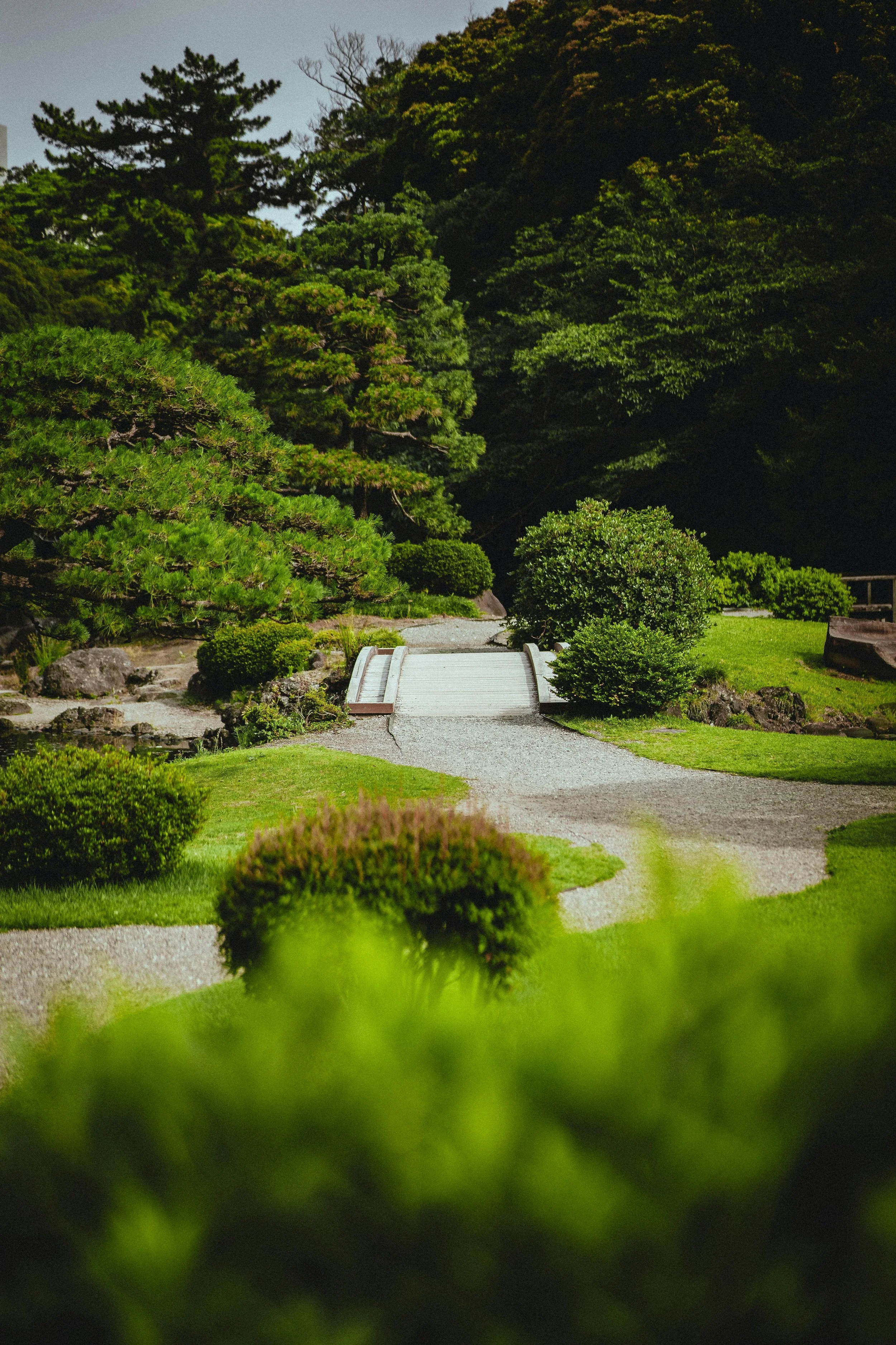 Smart Landscaping for Energy Savings: How Trees Cut Bills