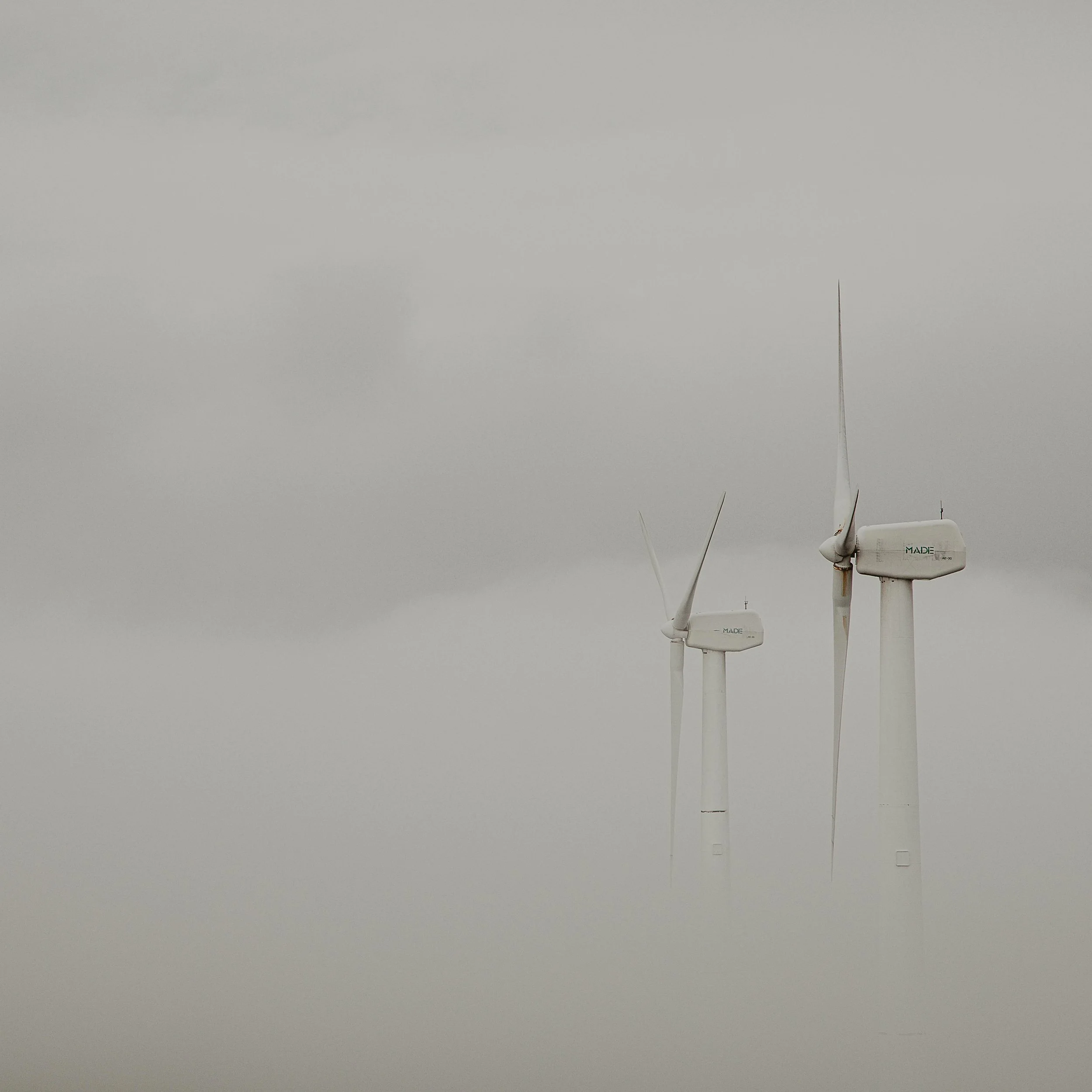 Wind Turbines &amp; Wildlife: Balancing Clean Power and Nature