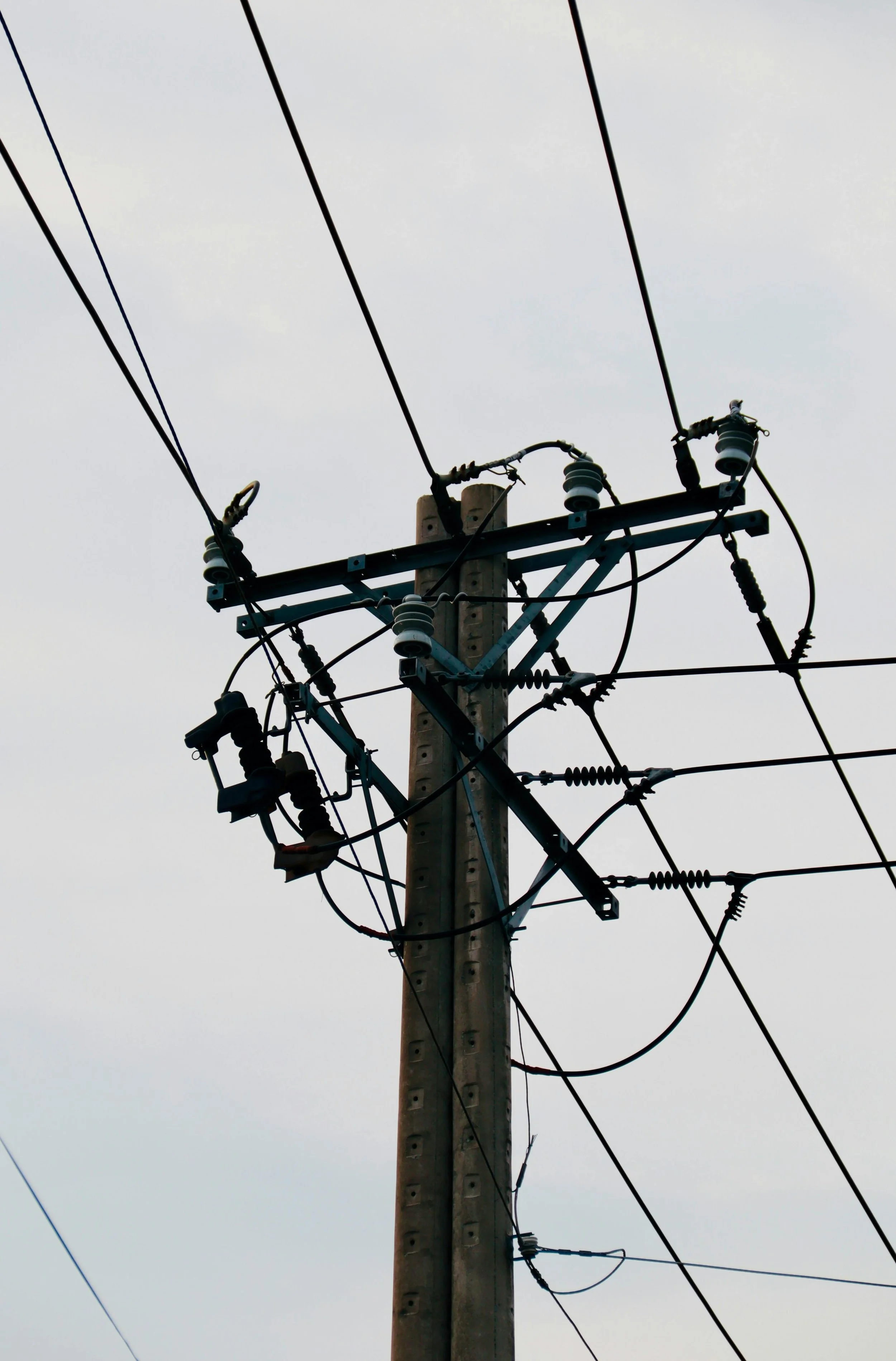 Energy Assistance Programs by State: Find Help with Your Electric Bill