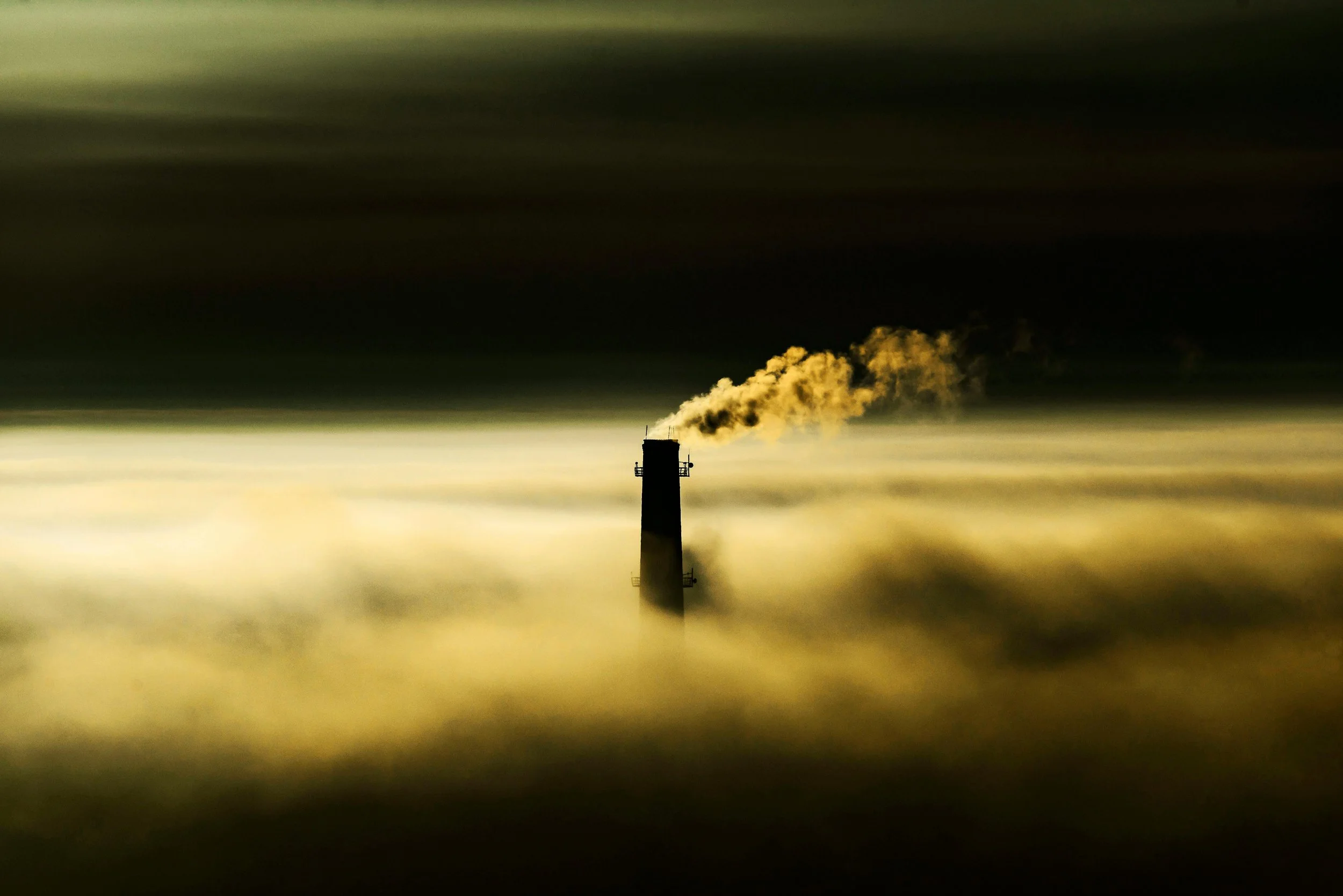 How Competitive Markets Slash Power Sector Emissions