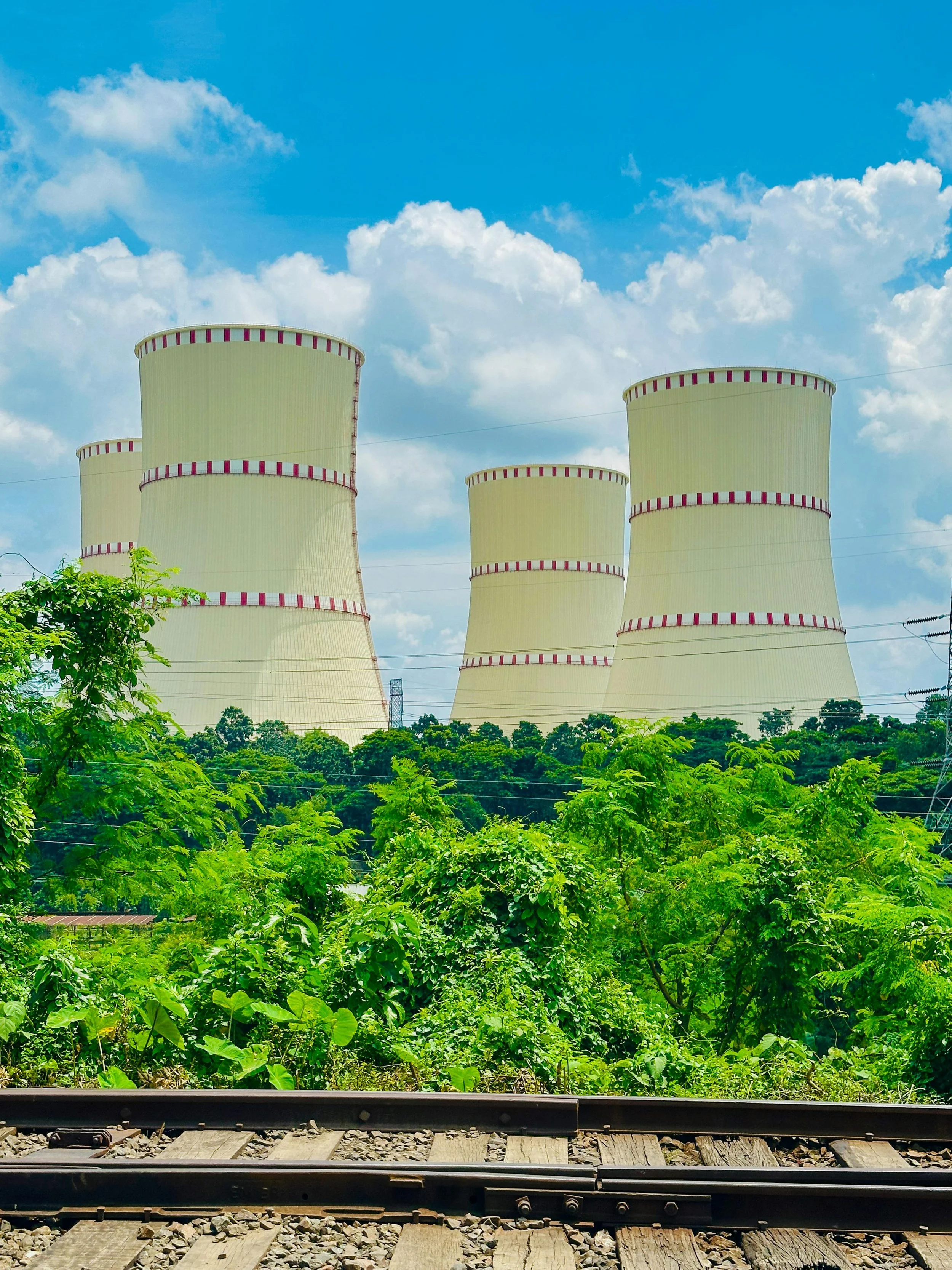 The Future of Nuclear: Can It Compete in Open Energy Markets?