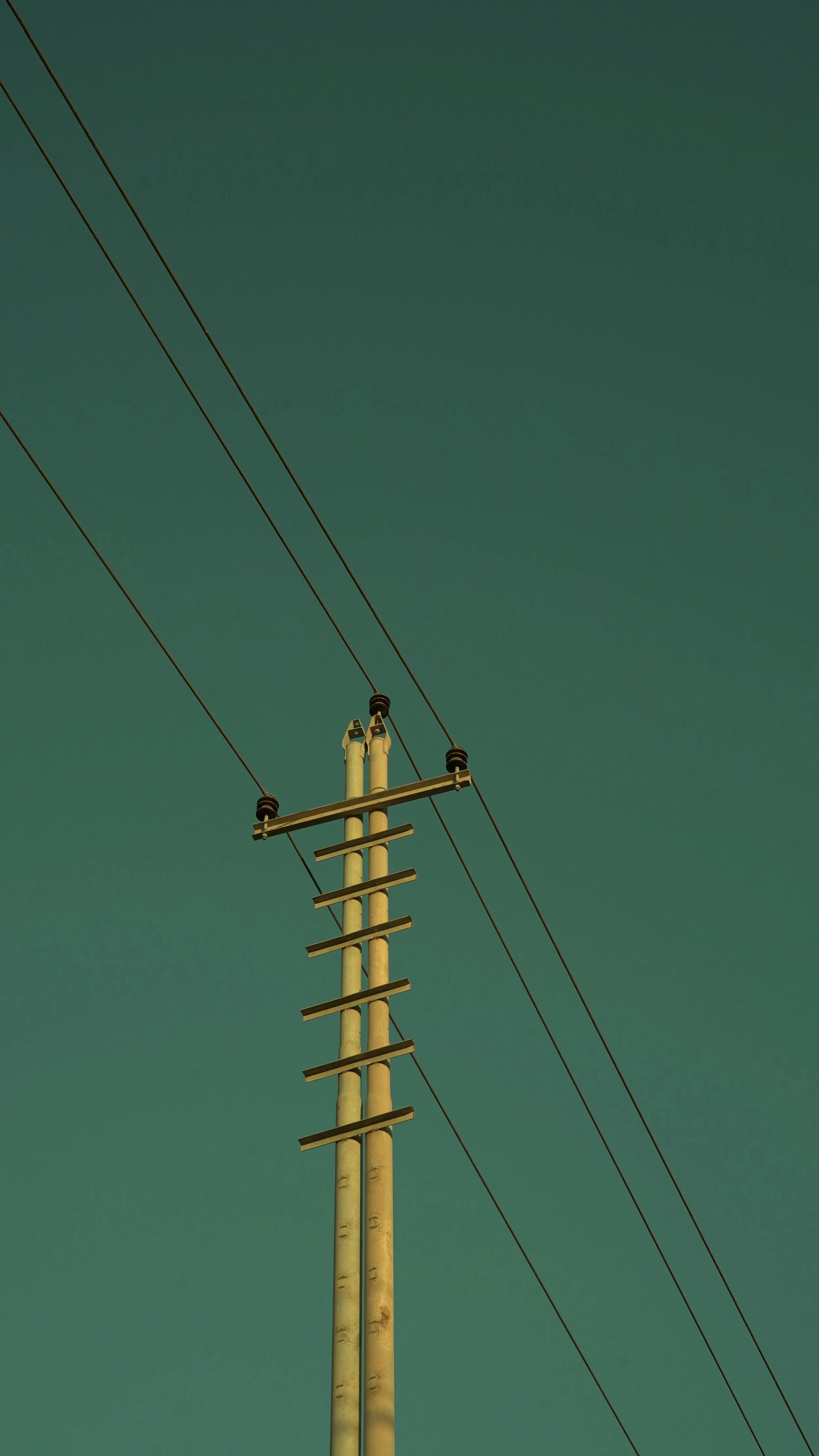 Fixed vs Variable Rate: Choosing Your Ideal Electricity Plan