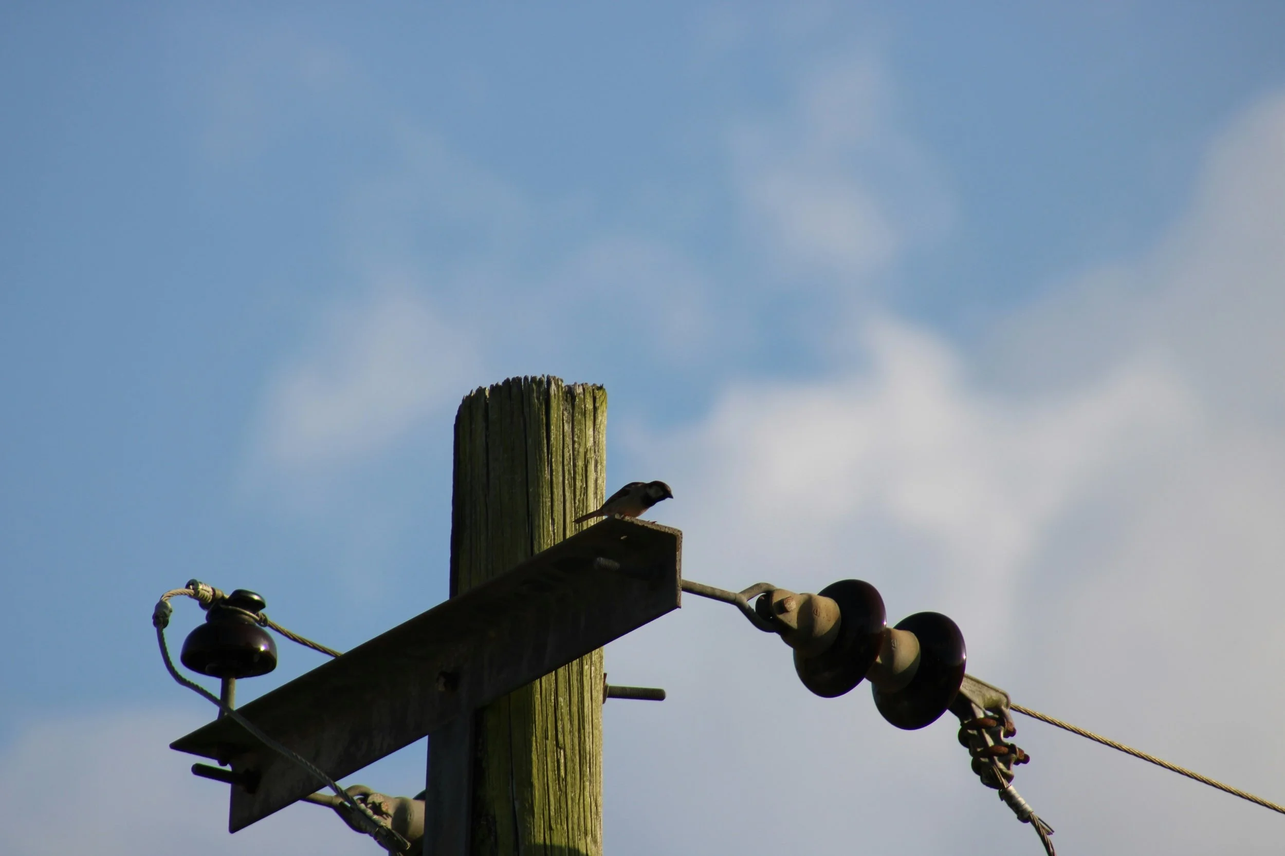 Stranded Costs in Electricity: What Stakeholders Need to Know