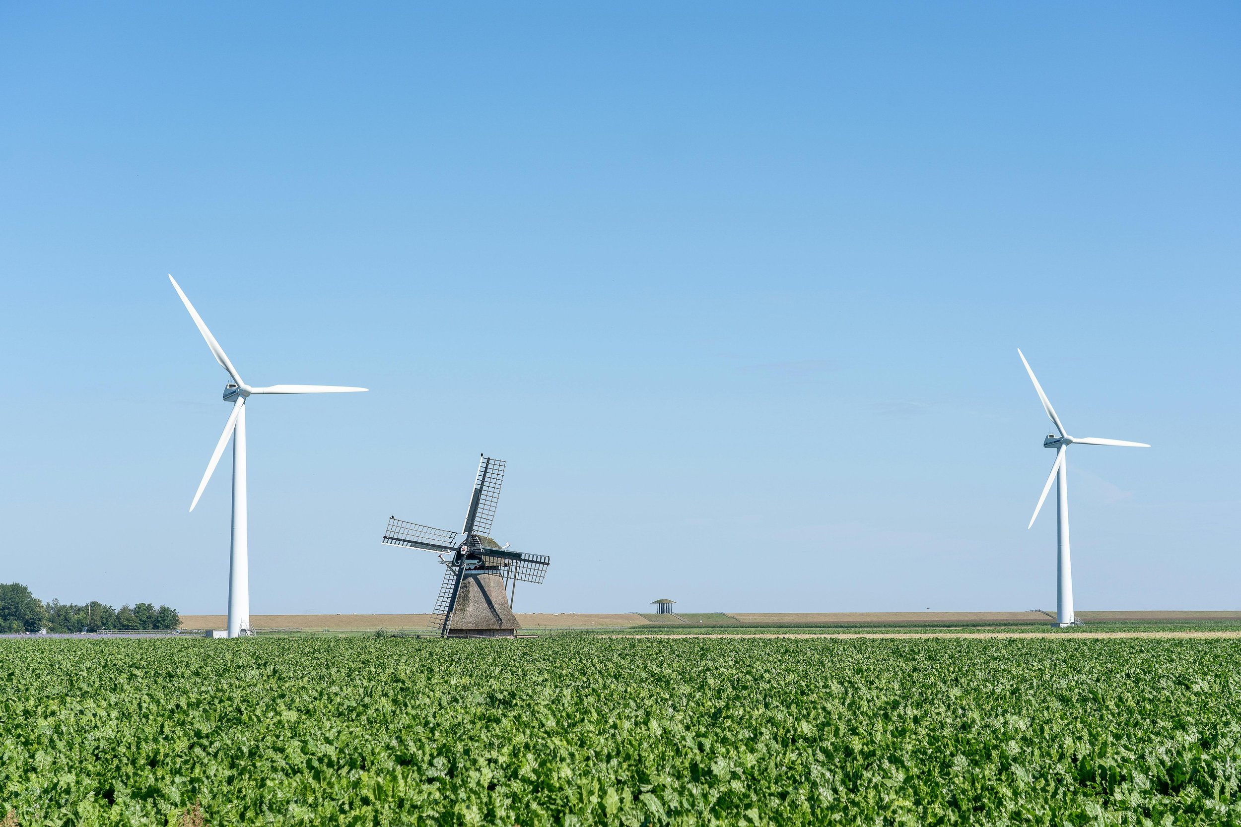 How Offshore Wind Projects Shape East Coast Electricity