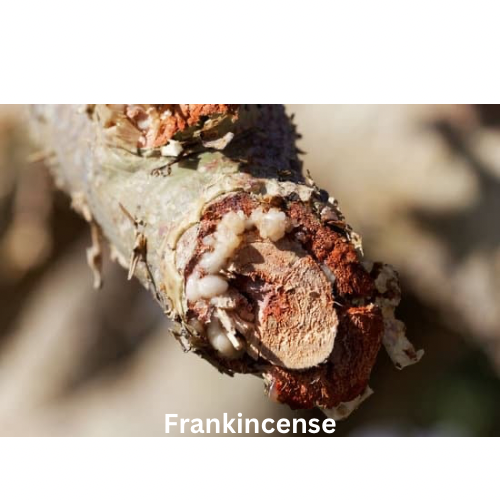 Frankincense