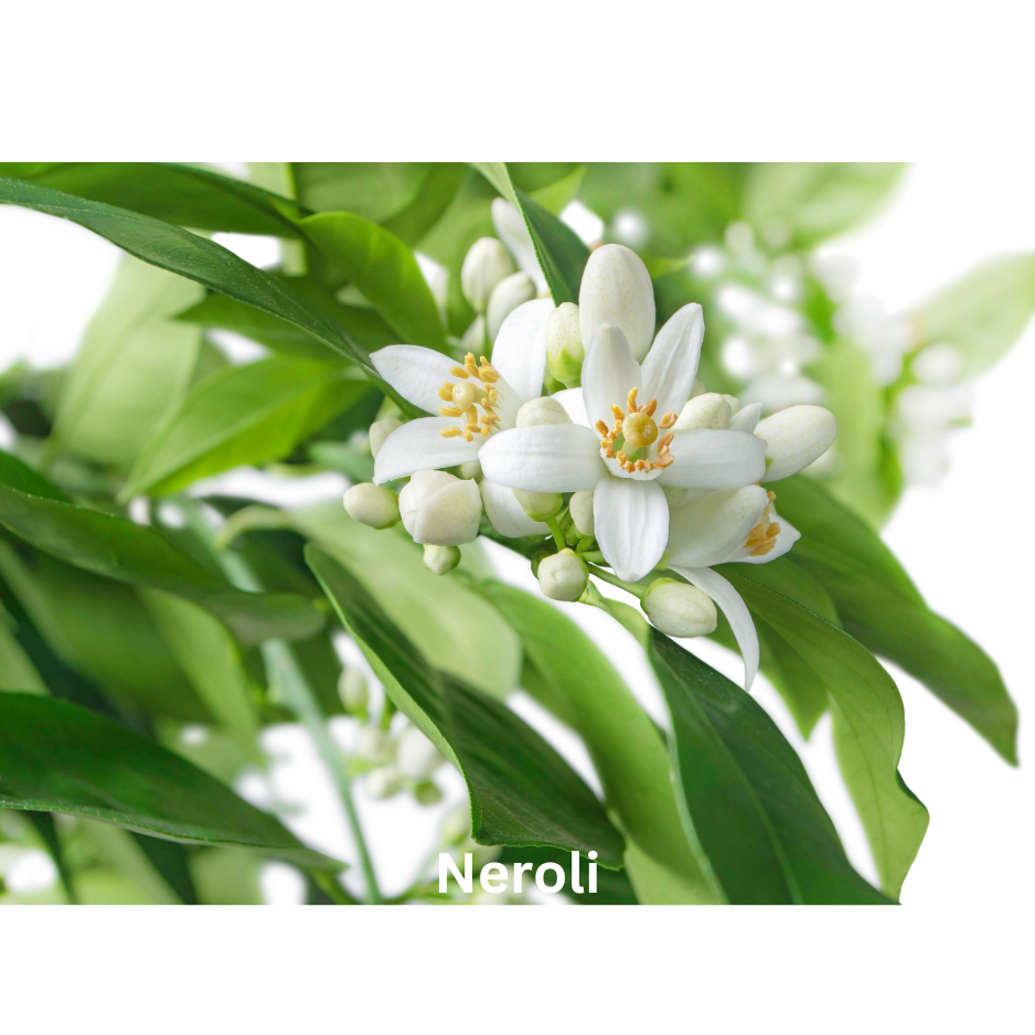 neroli