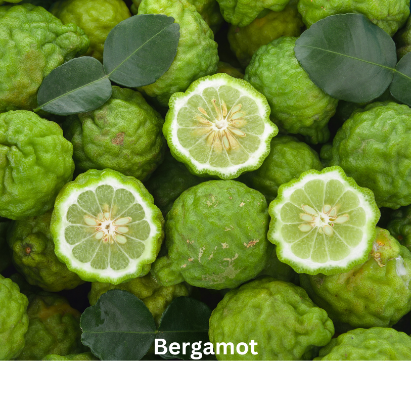 Bergamot