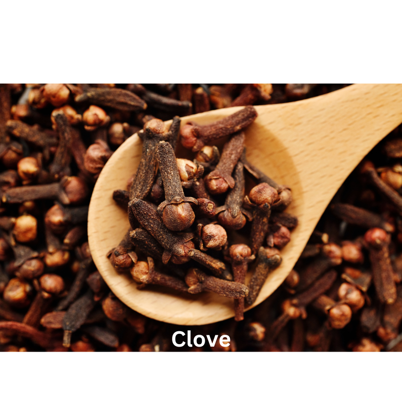 Clove