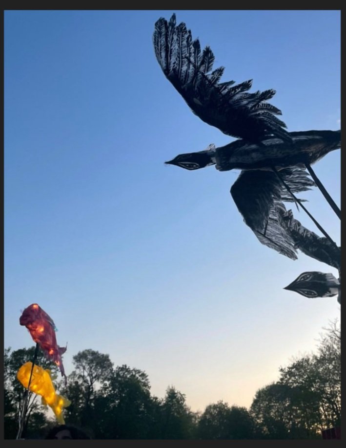Birds