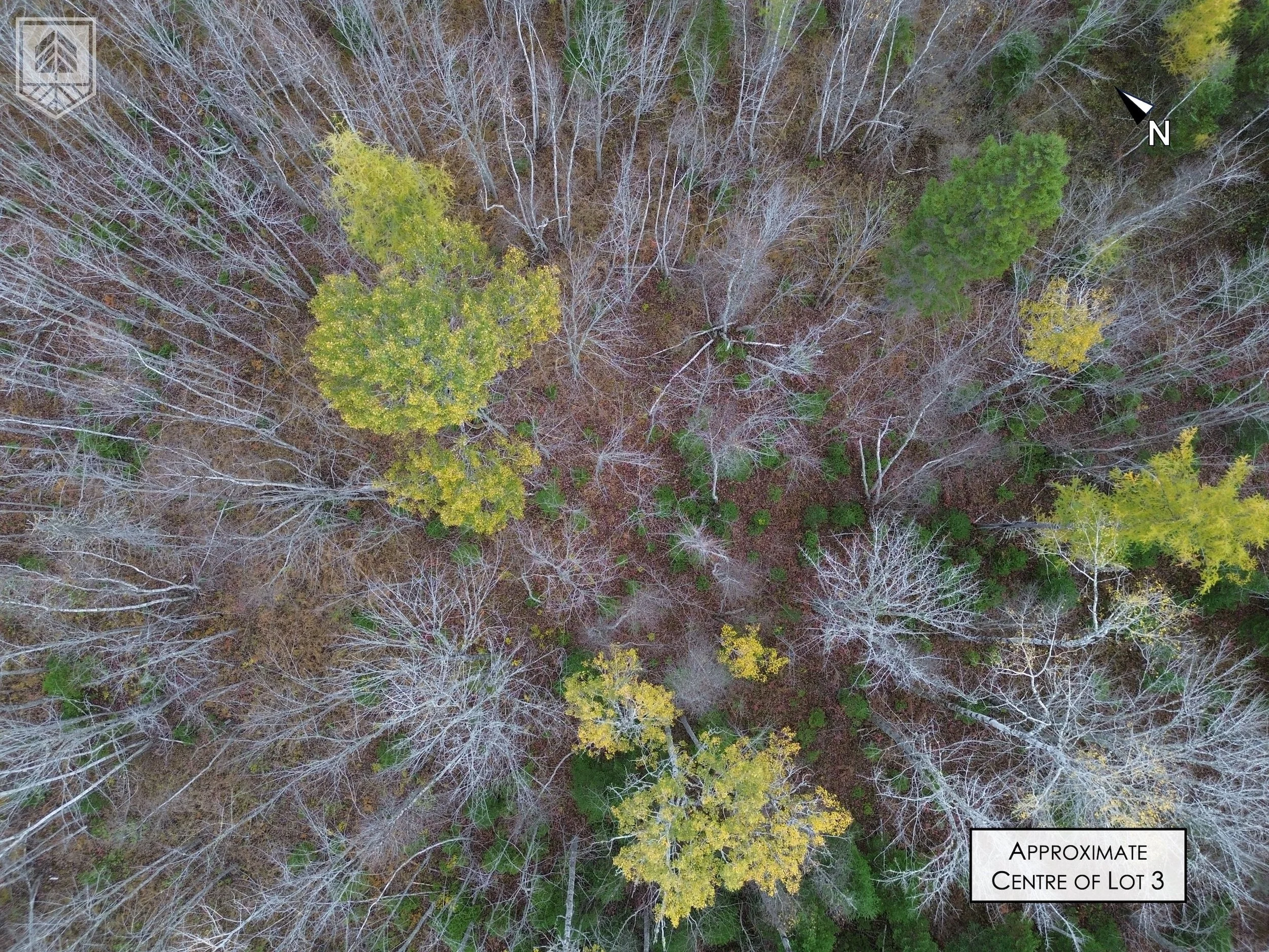 An aerial view of a forest with some trees having green and yellow leaves, while many trees are leafless, indicating a season change. The image includes a north arrow and a label for the approximate center of lot 3.