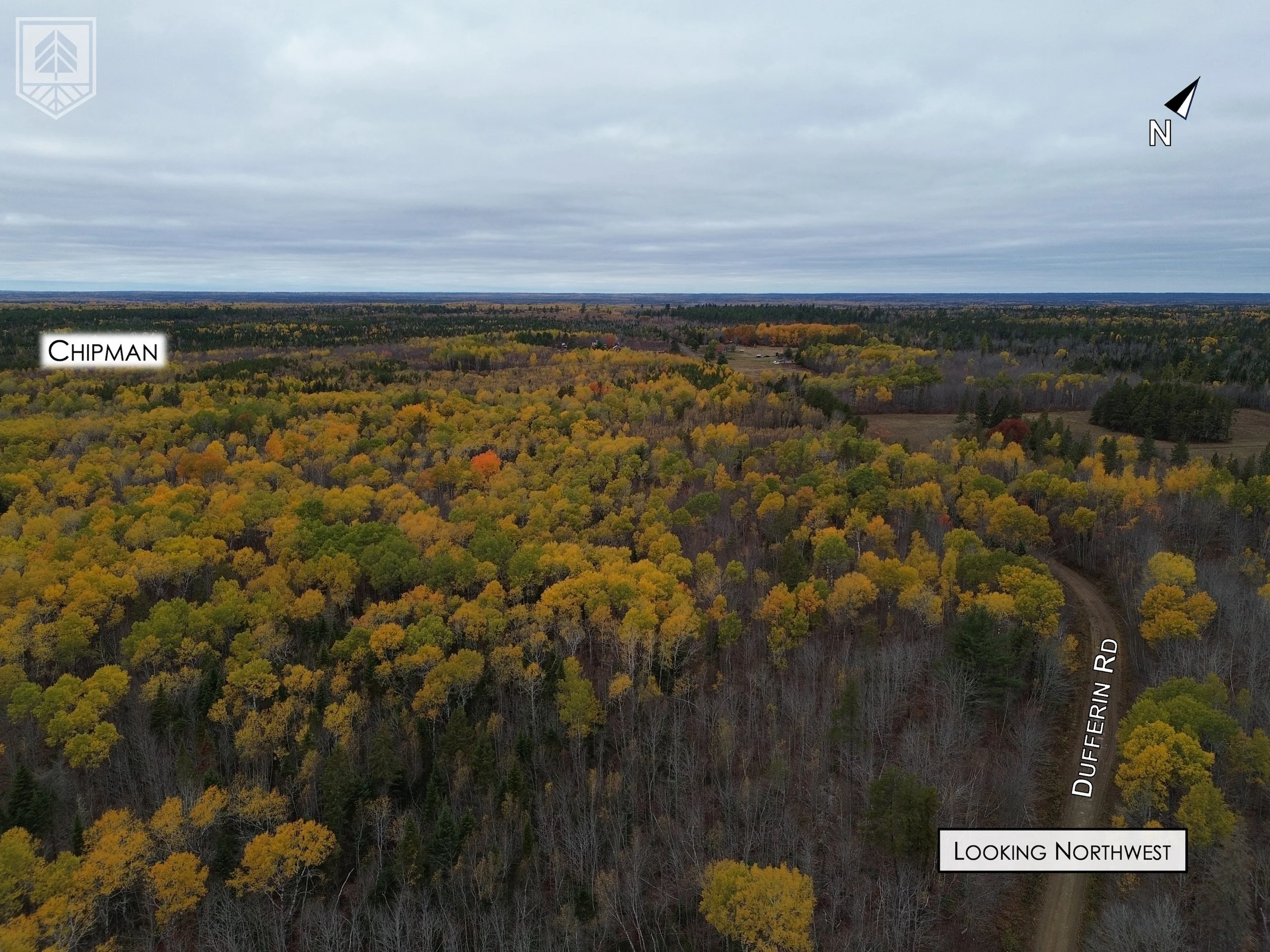 Aerial view of a forest with colorful autumn trees, a dirt road winding through the woods, and labels indicating 'Chipman', 'Dufferin Rd', and 'Looking Northwest' with a cloudy sky overhead.