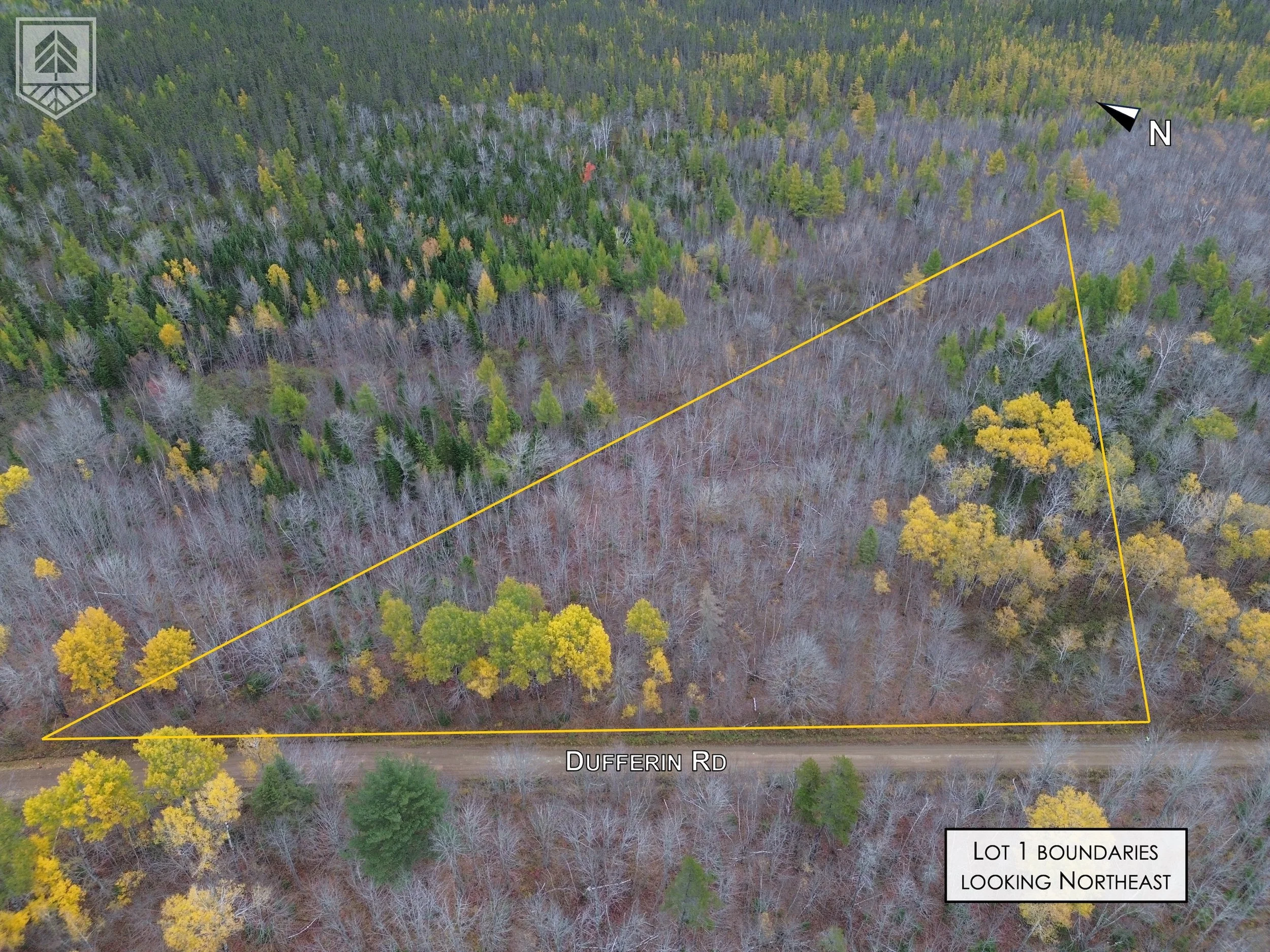 Aerial view of wooded lot boundaries outlined in yellow, with Dufferin Road running along the bottom, showing a mix of green and leafless trees, looking northeast.