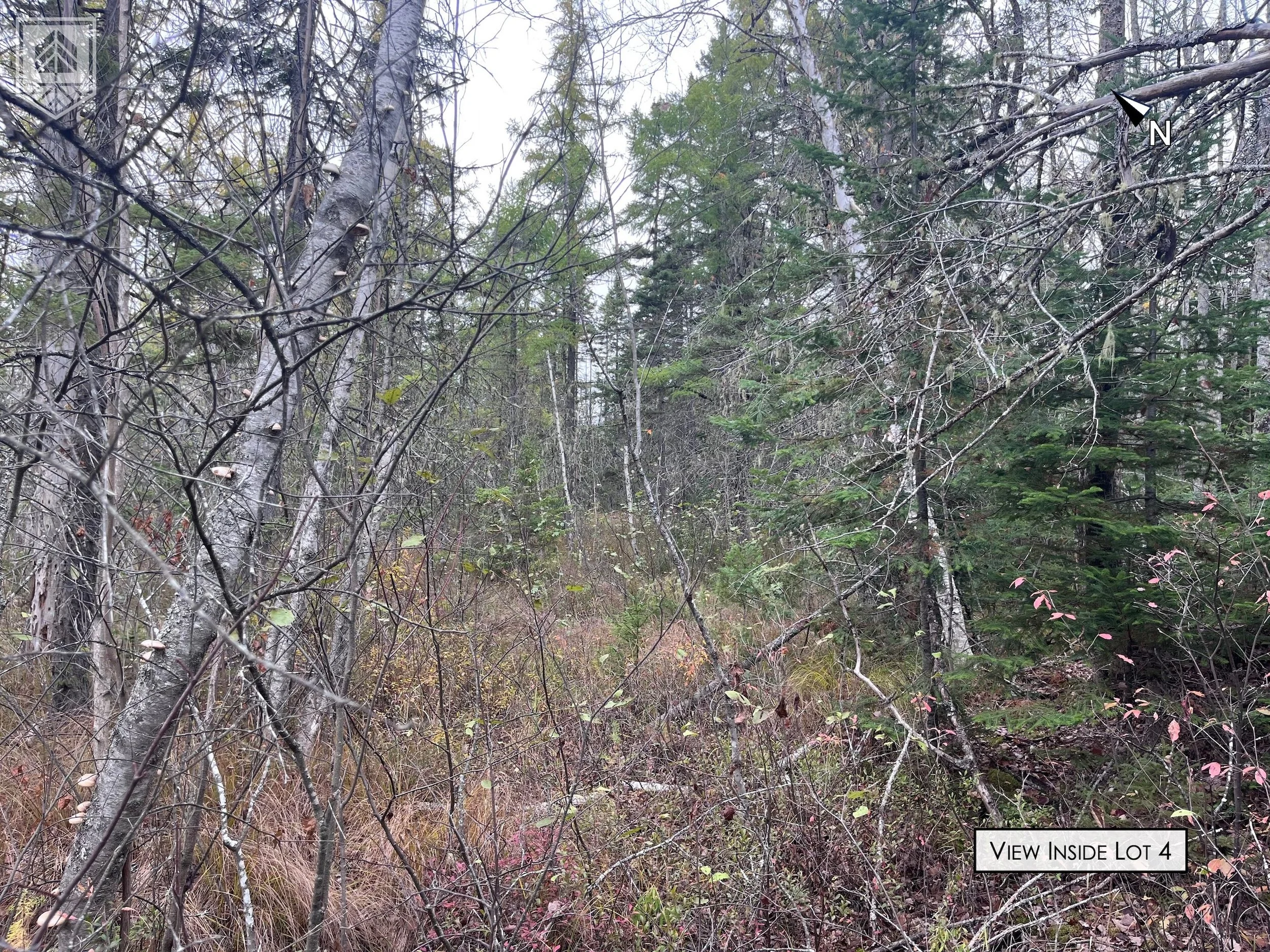 Dense forest view with trees and shrubs, labeled as 'View Inside Lot 4', with a north arrow indicating orientation.