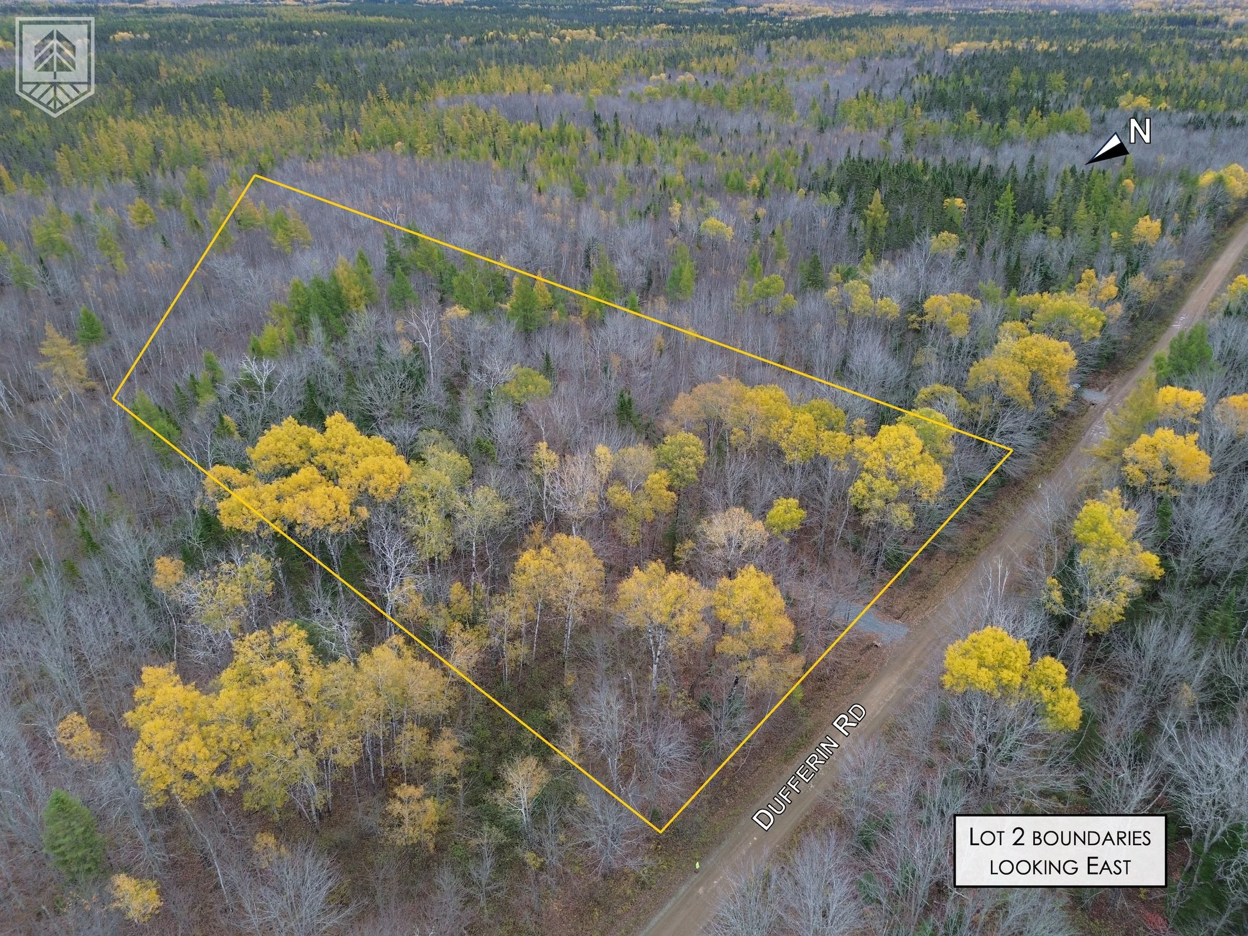 Aerial view of a wooded lot with yellow boundary lines, showing a mix of leafless and green trees, with Dufferin Road on the right and a label indicating Lot 2 boundaries looking east.