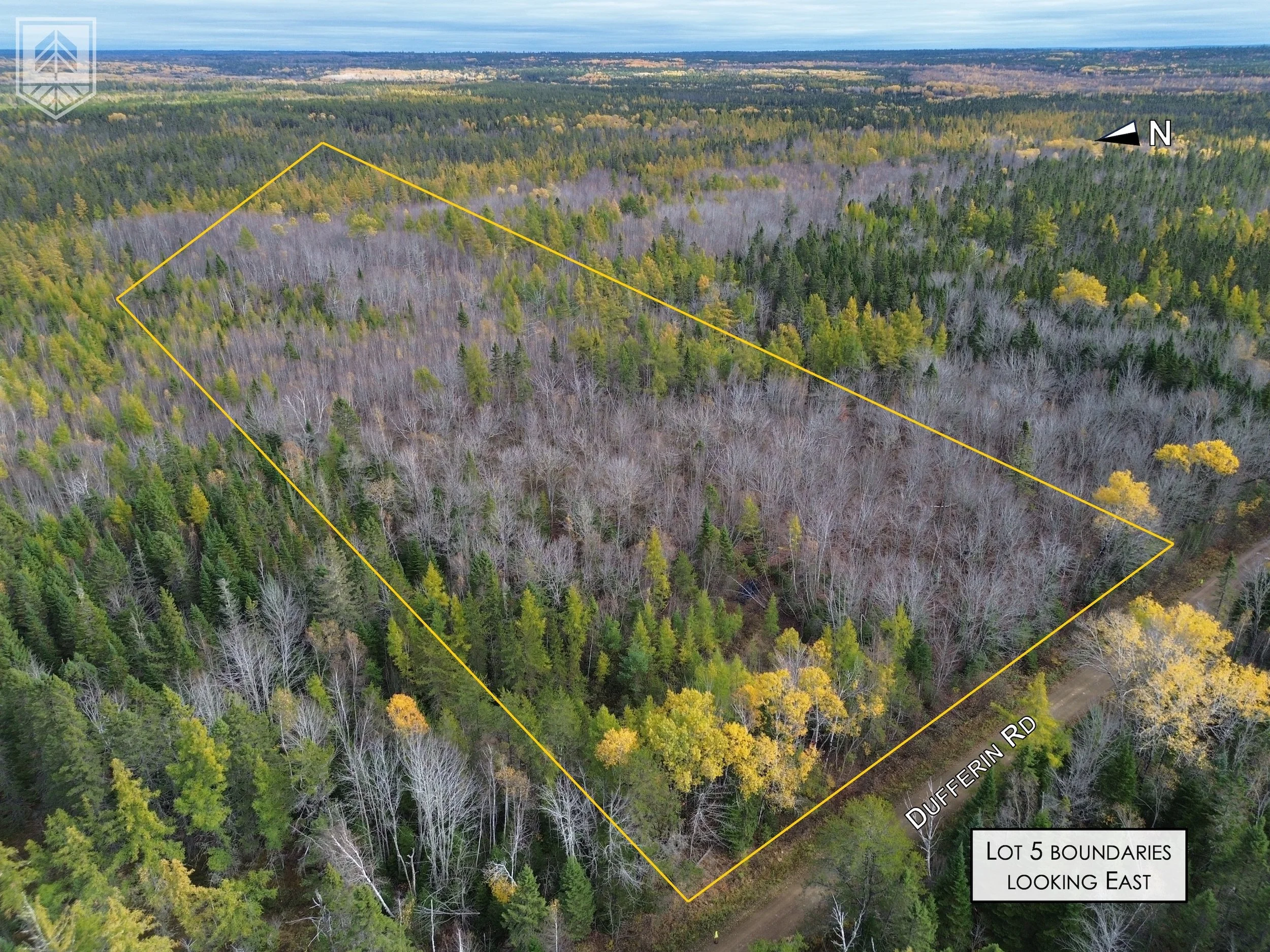 Aerial view of a wooded lot with trees, including some deciduous without leaves and evergreen, surrounded by forest extending to the horizon. The lot boundaries are marked with yellow lines, and Dufferin Road runs along the front. A north direction a