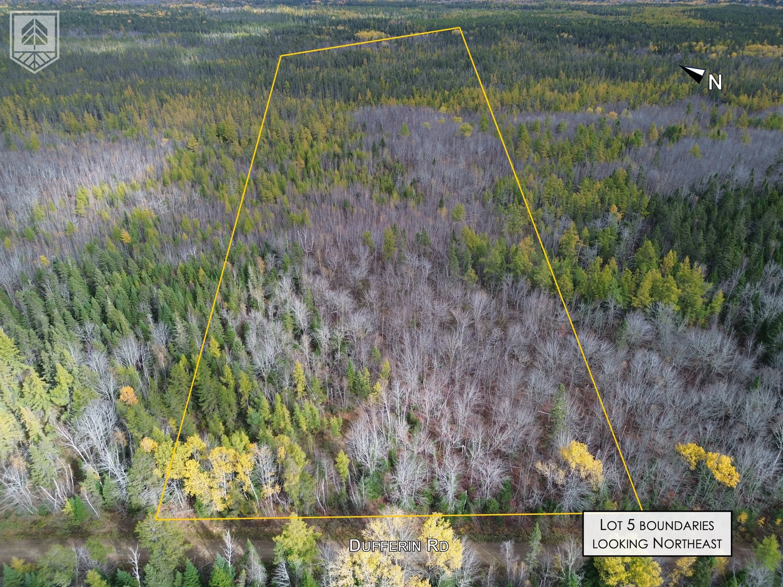 Aerial view of a wooded lot with boundary lines marked in yellow, looking northeast, with Dufferin Road at the bottom.
