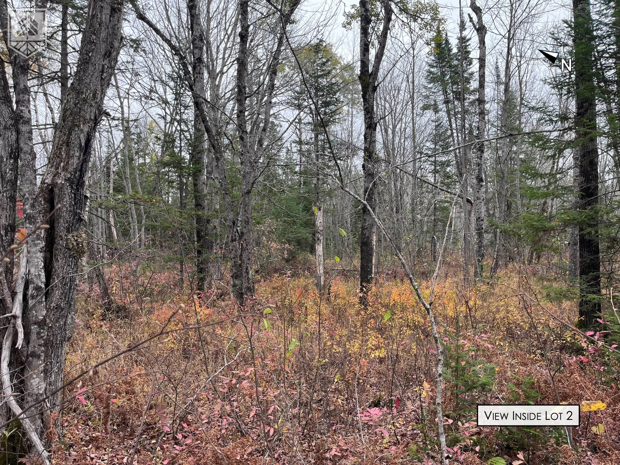 A forest scene with bare trees and some evergreen trees in the background, under an overcast sky. The ground is covered with low bushes and fallen leaves, with a marker indicating the view is from inside Lot 2.