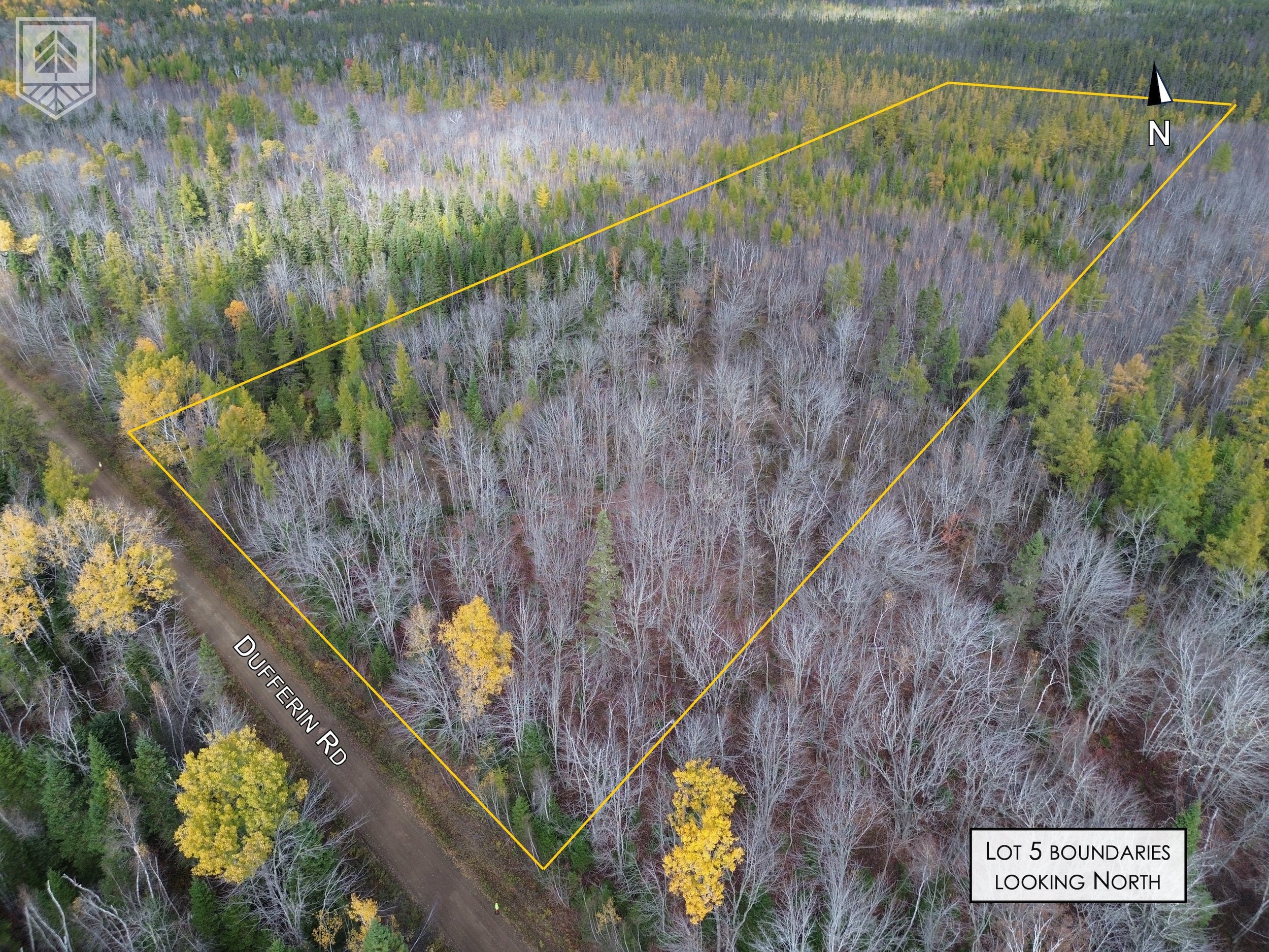 Aerial view of a forested lot with a yellow boundary line, situated along Dufferin Road. The lot contains a mix of deciduous and evergreen trees, with some trees showing fall colors. A small part of the road is visible at the bottom of the image. The