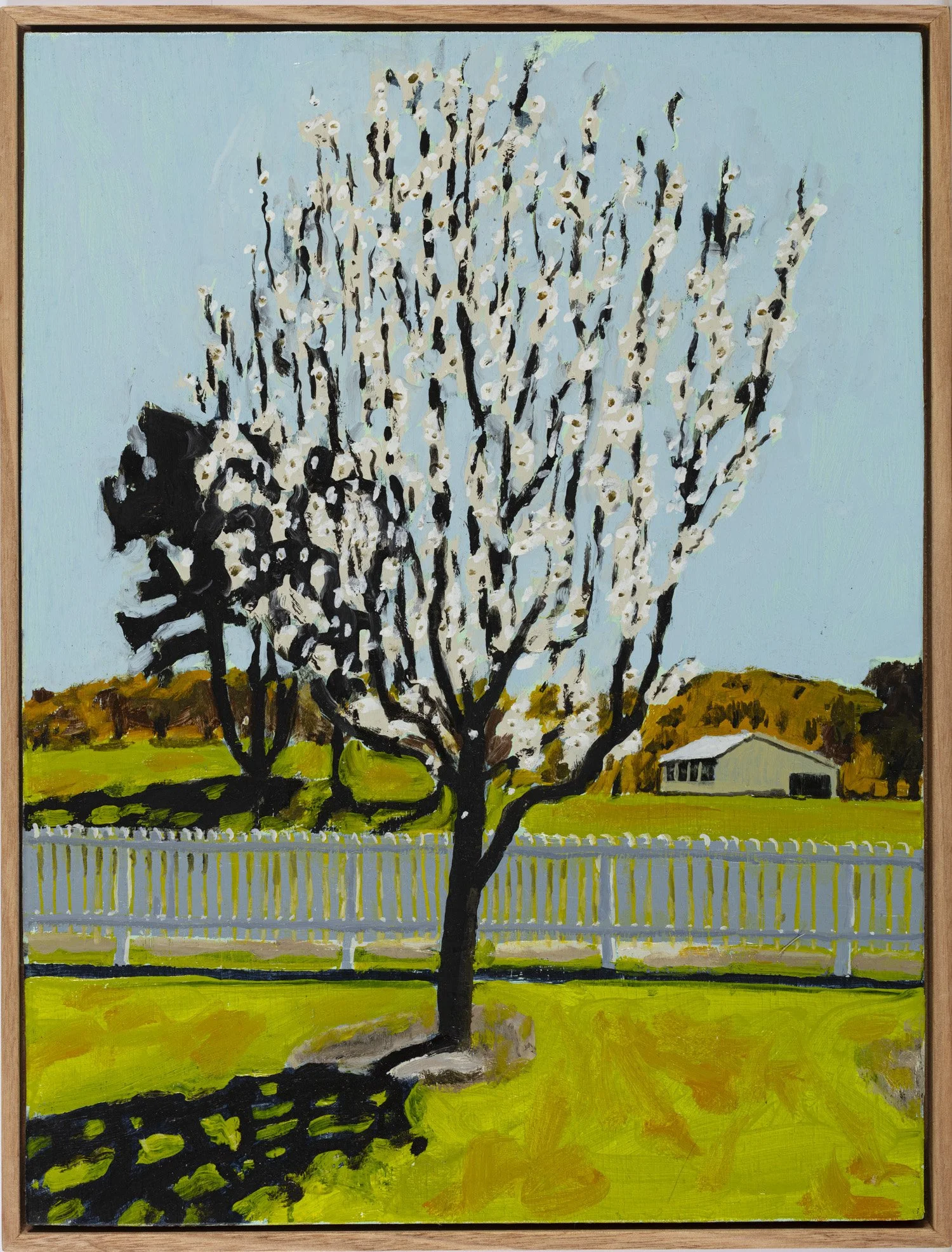Tarago (Spring), 2025, oil on board, 40.5 x 30.5cm