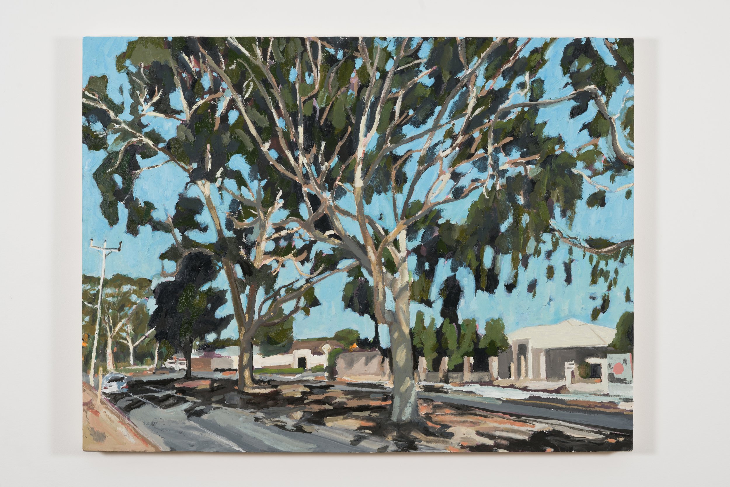 Adelaide Gum, 2020, oil on board, 81 x 61 cm