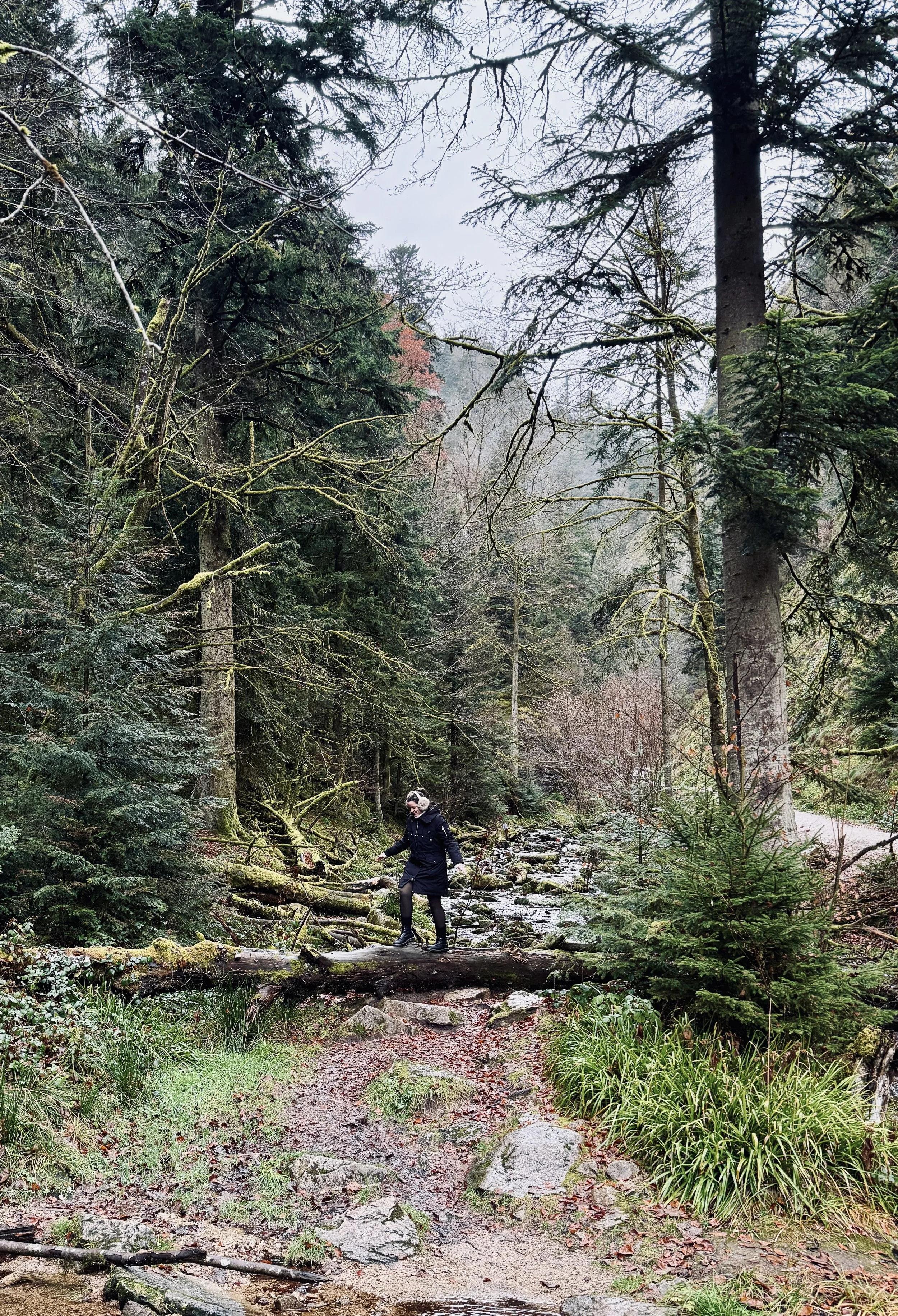 Waterfall Hike.jpg