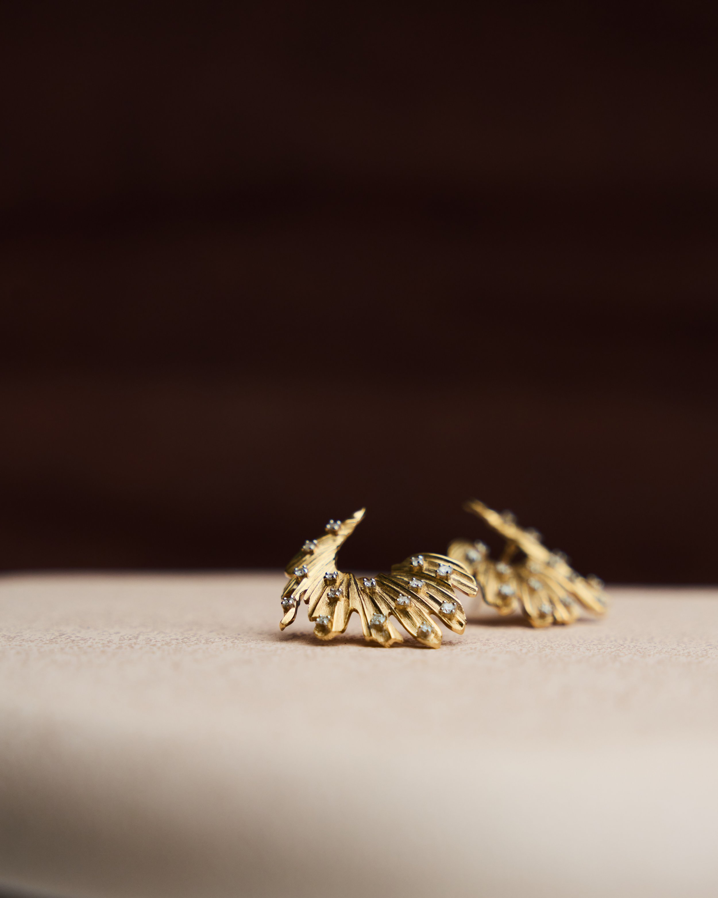 SYFJ-Holiday3272 2.JPEG