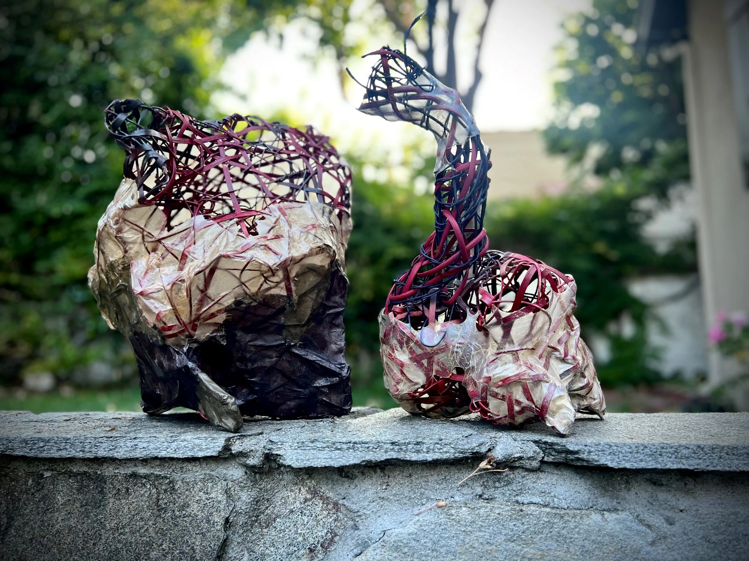 Rose Tsang