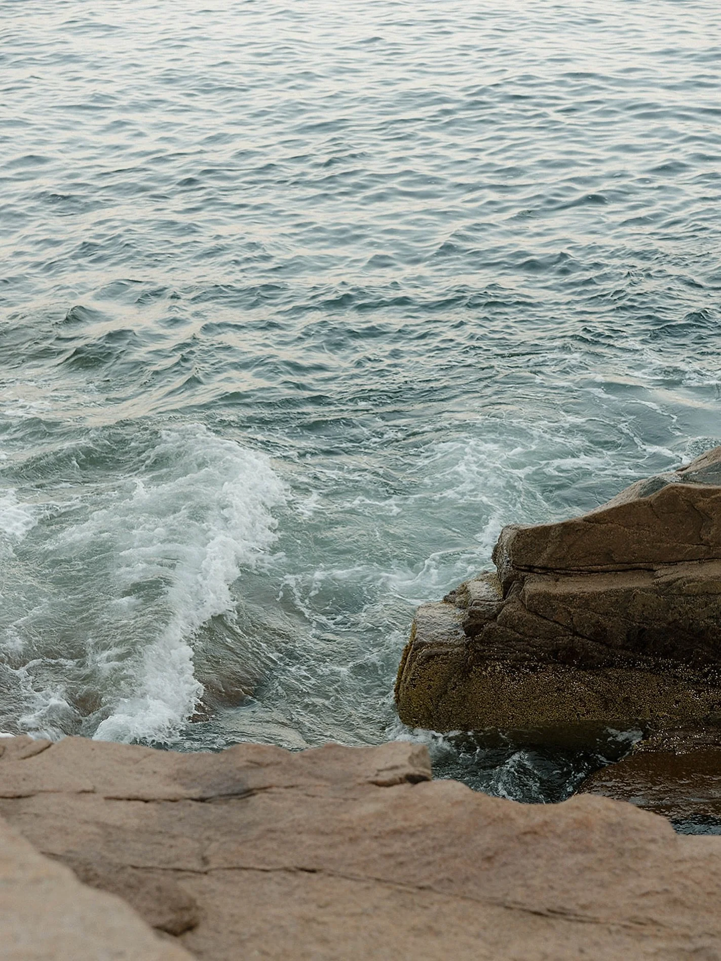 This year has felt like such a turning point, the kind that makes you pause and really take it all in. For years, I juggled photography alongside another full-time job because I was scared to let go of that safety net. I wasn&rsquo;t sure if my busin