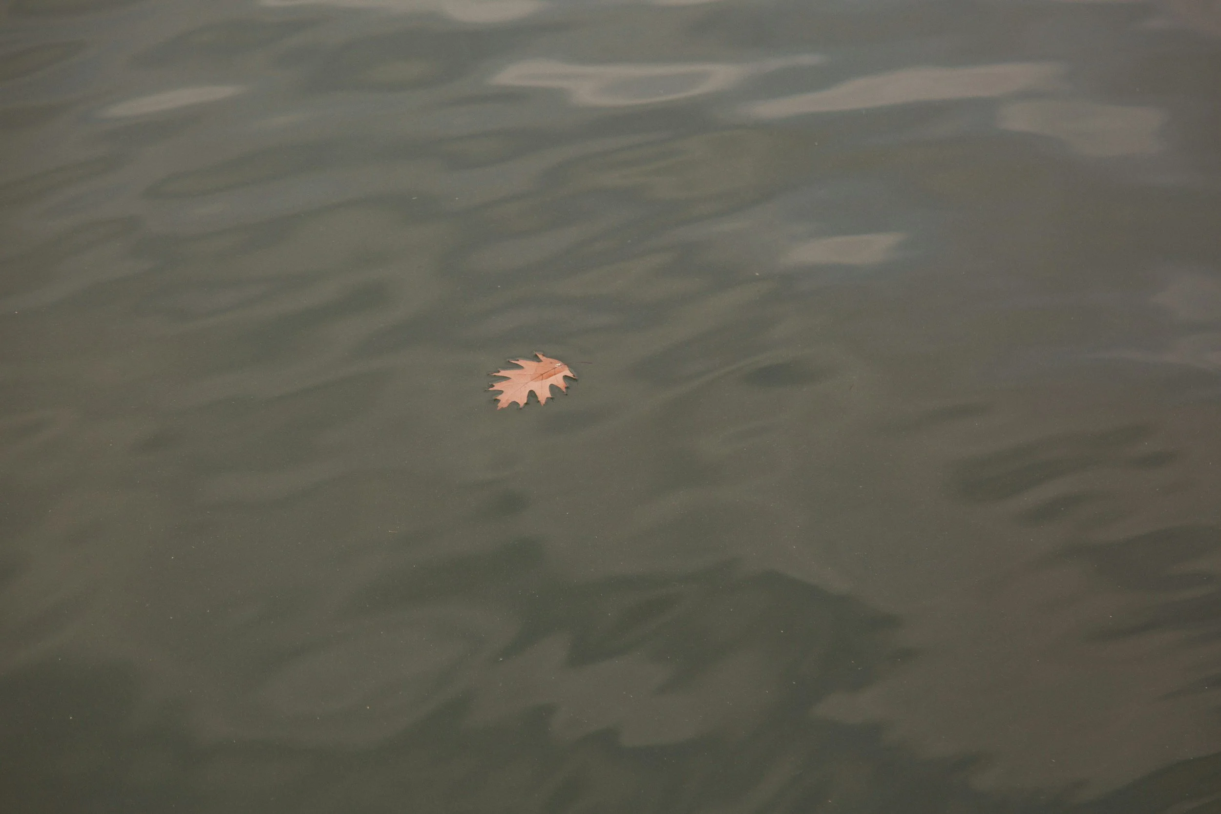 Why Do I Feel Empty in My Relationship? Disappearing Inside a Life That Looked Fine