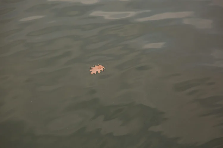 The Body Remembers