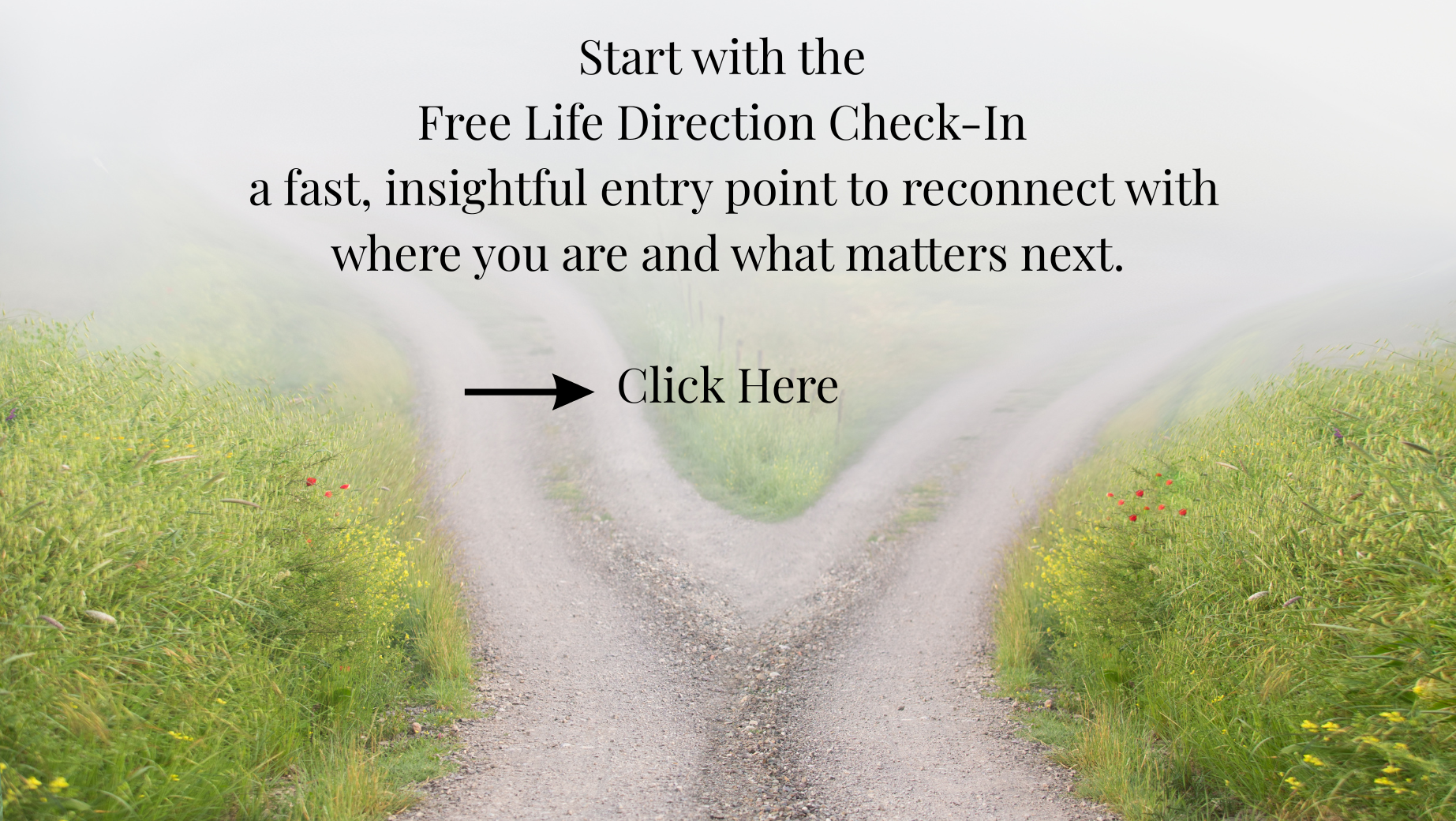 Free Life Direction Check-In: a fast, insightful entry point to reconnect with what matters next