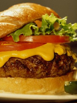 hamburger.jpeg