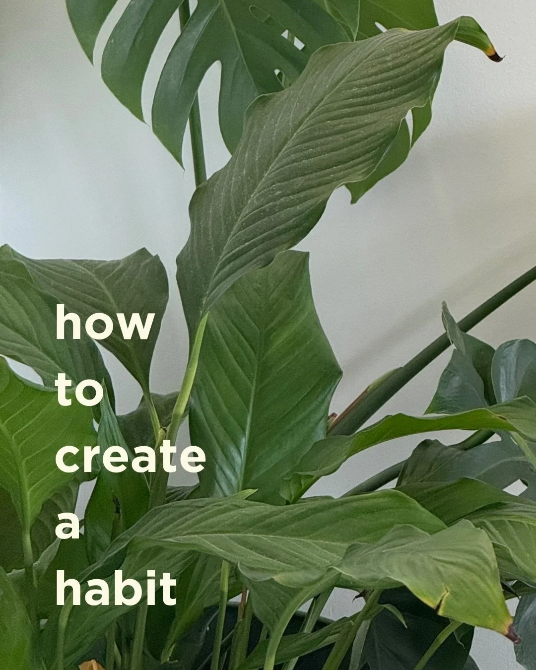 The goal isn&rsquo;t to be motivated. It&rsquo;s to make it normal! 🧡