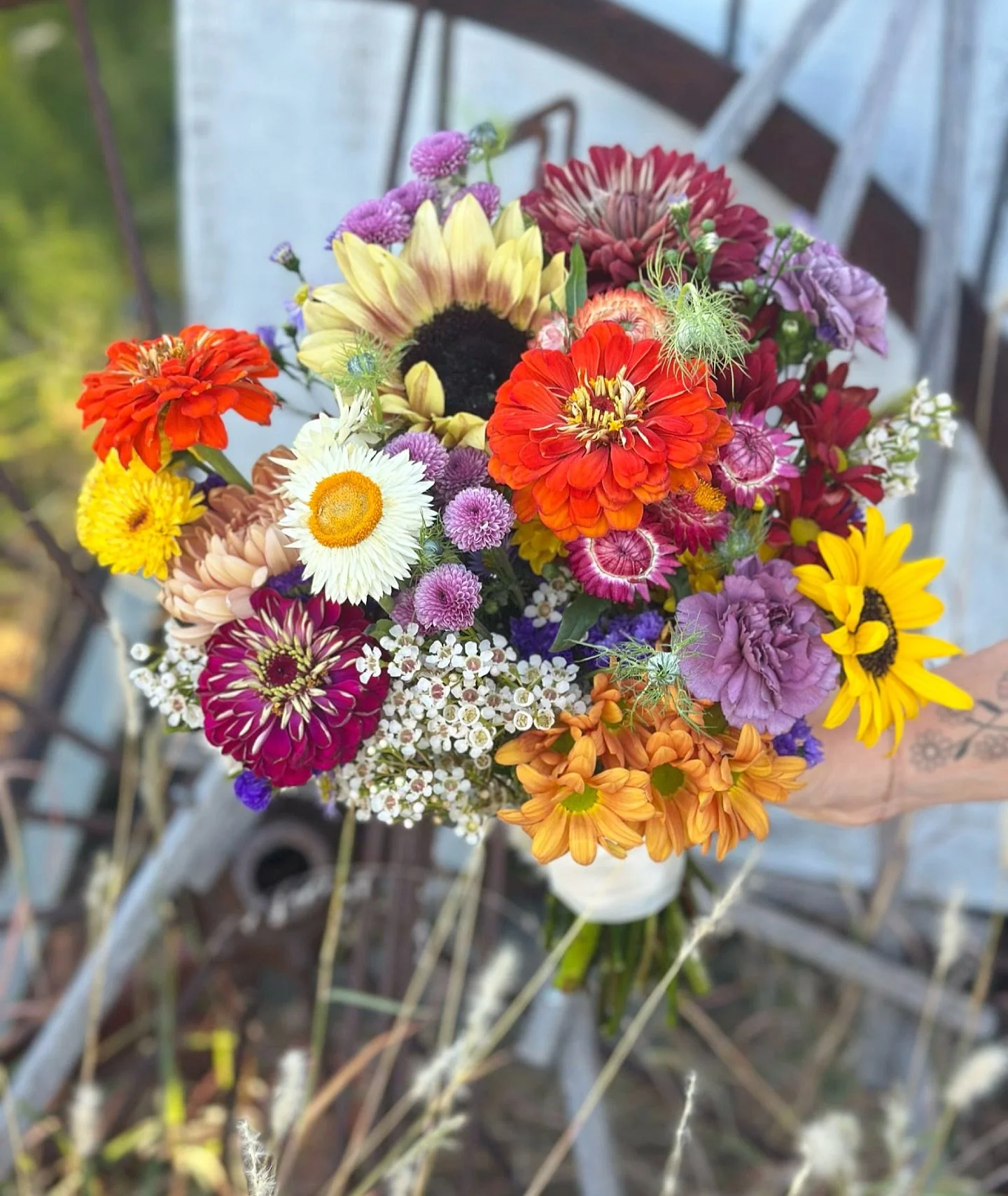 Fall is calling 🍂✨ Stop in and pick up your favorite blooms &mdash; Saturday just got prettier. 🌻 We&rsquo;re here 10-2 today.