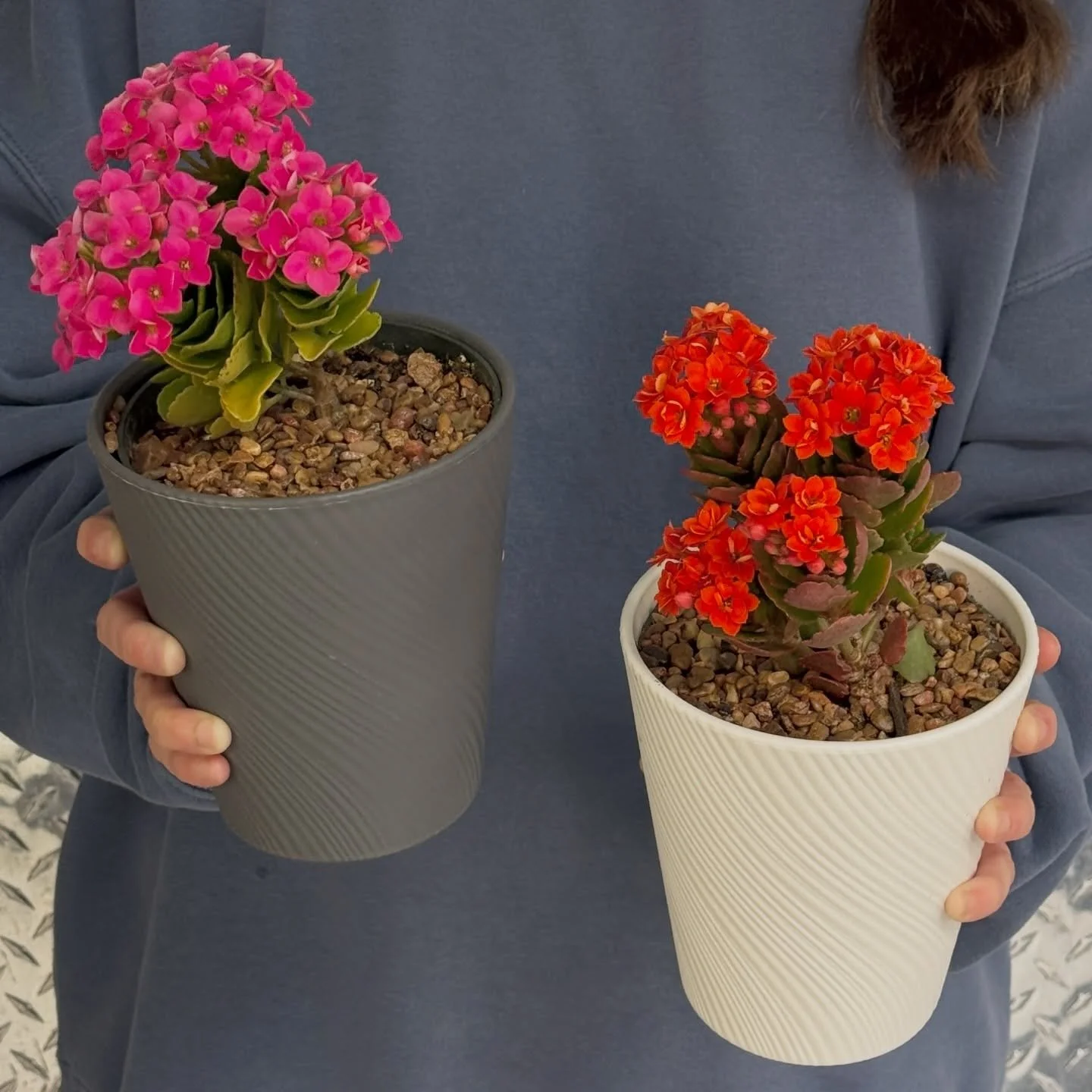 March Plant of the Month 🌿✨

Meet the 4&rdquo; Kalanchoe &mdash; our little burst of early spring color. 🌸 These long-lasting blooms come in the happiest shades and are locally grown and sourced, so you can feel good about bringing one home.

Brigh