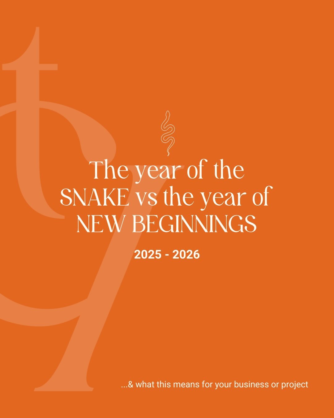 The Year of the Snake asked us to slow down, shed what no longer fit, and sit with the uncomfortable in-between.
 Not everything was meant to be carried forward, and that&rsquo;s exactly where the clarity came from 🤍

Now, we move into a year of beg