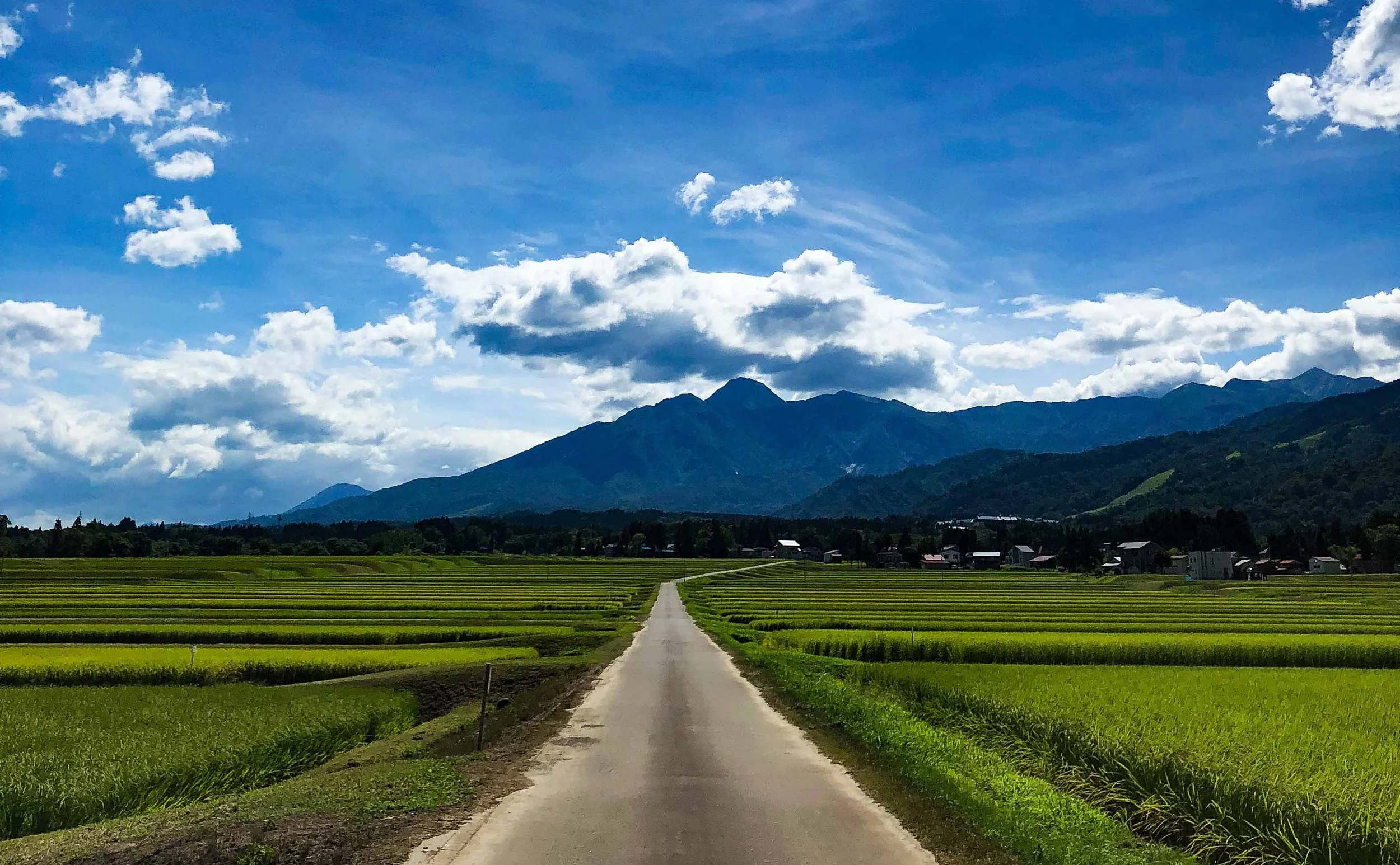 緑の田んぼと山々、青空と雲が広がる風景