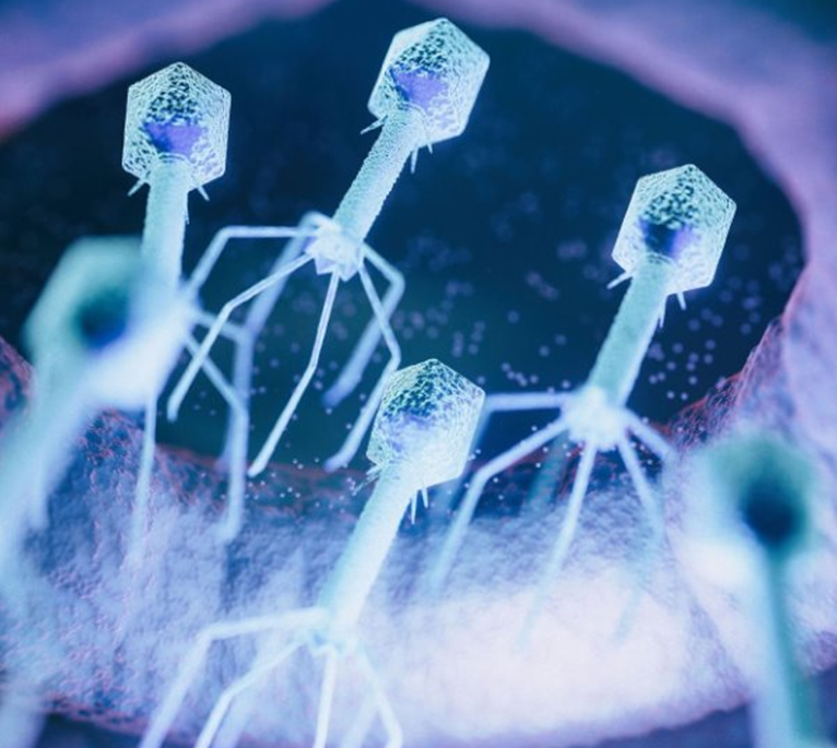Phage therapy 101 