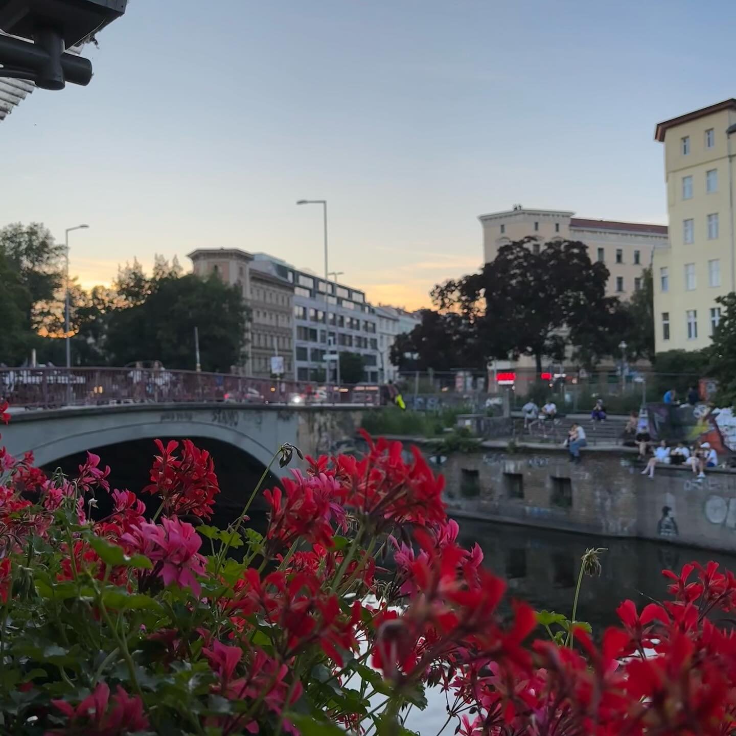 a europe summer~🪩
will be holding these weeks close to my heart
swipe for a lil bump of serotonin💛