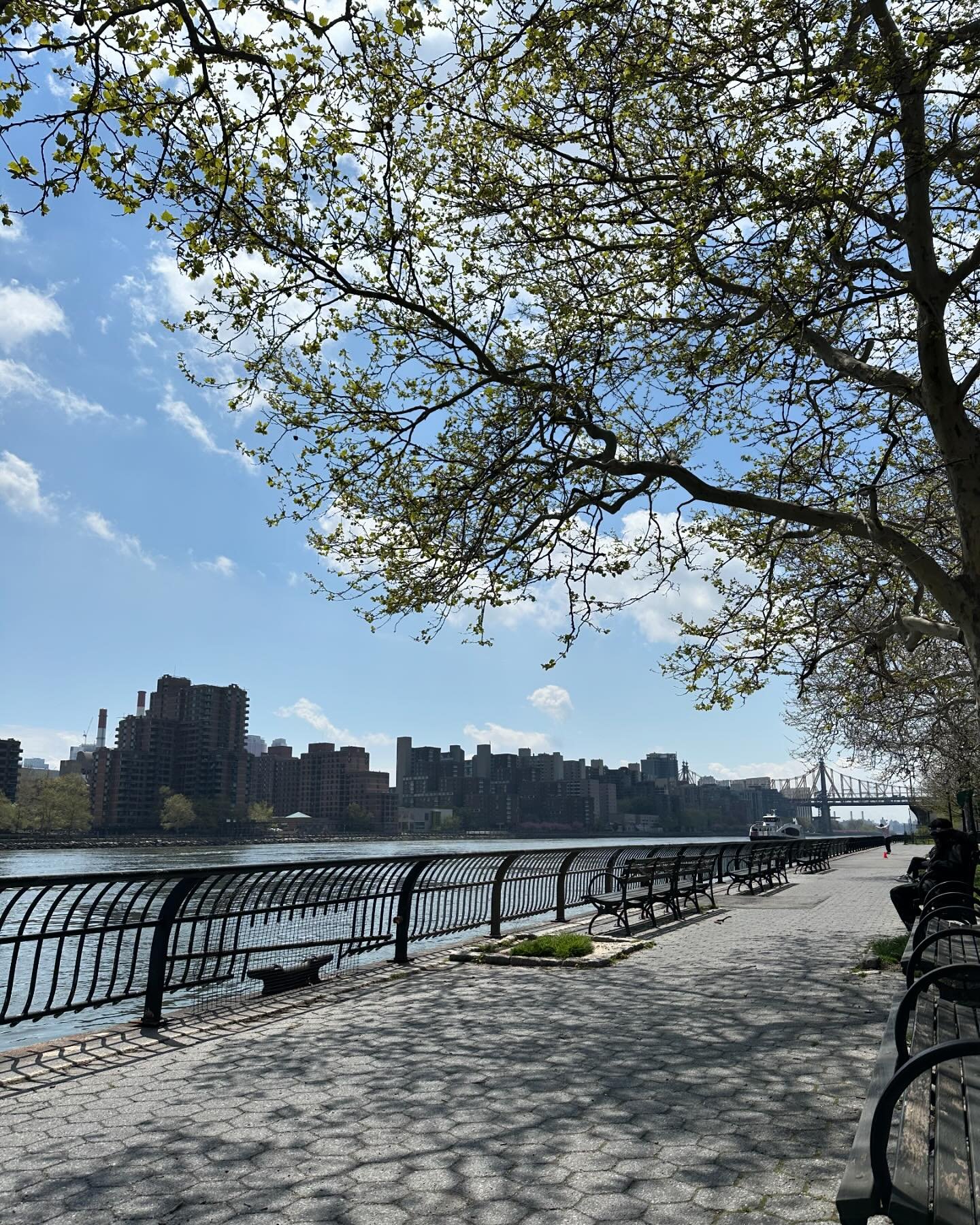 a spring time new york. lived a week in my alternate reality life. thanks ny you&rsquo;ll always be home.❣️