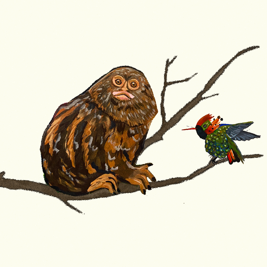 Painting Workshop (Flora Fauna)