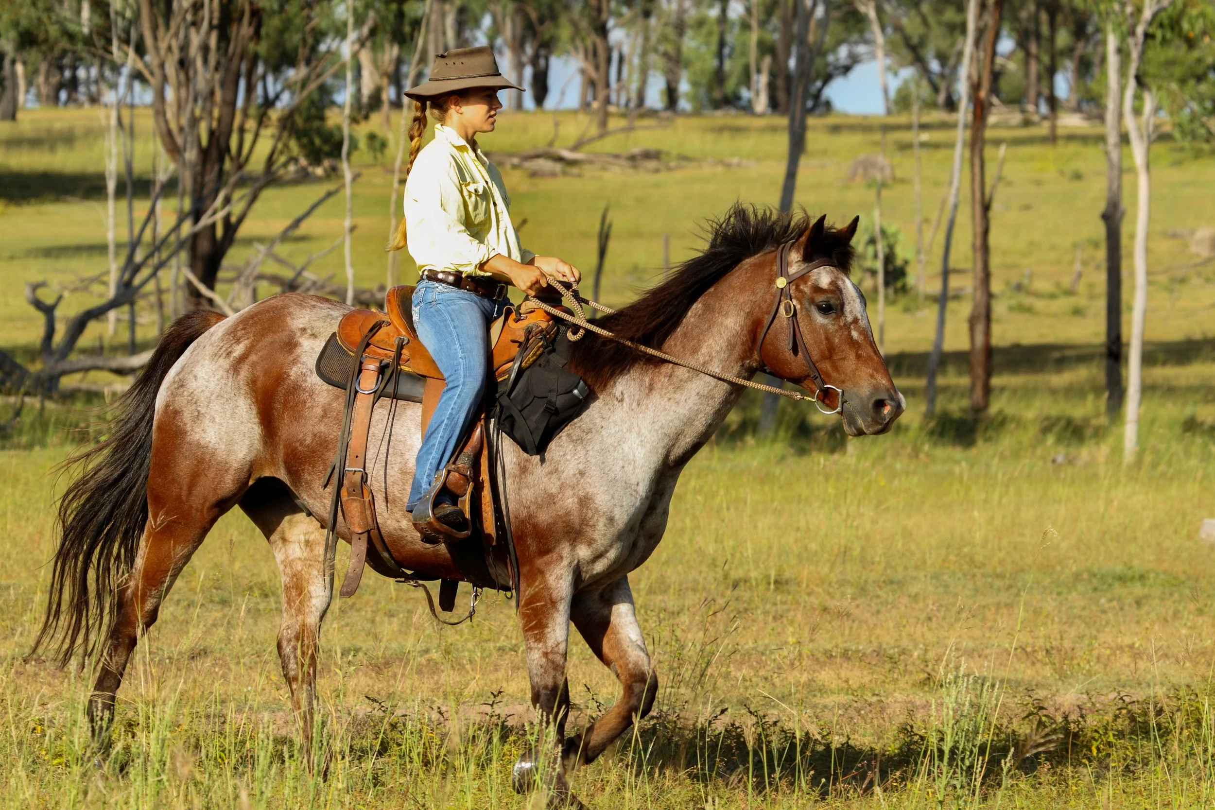Jojo riding brown horse in the bush of Australia